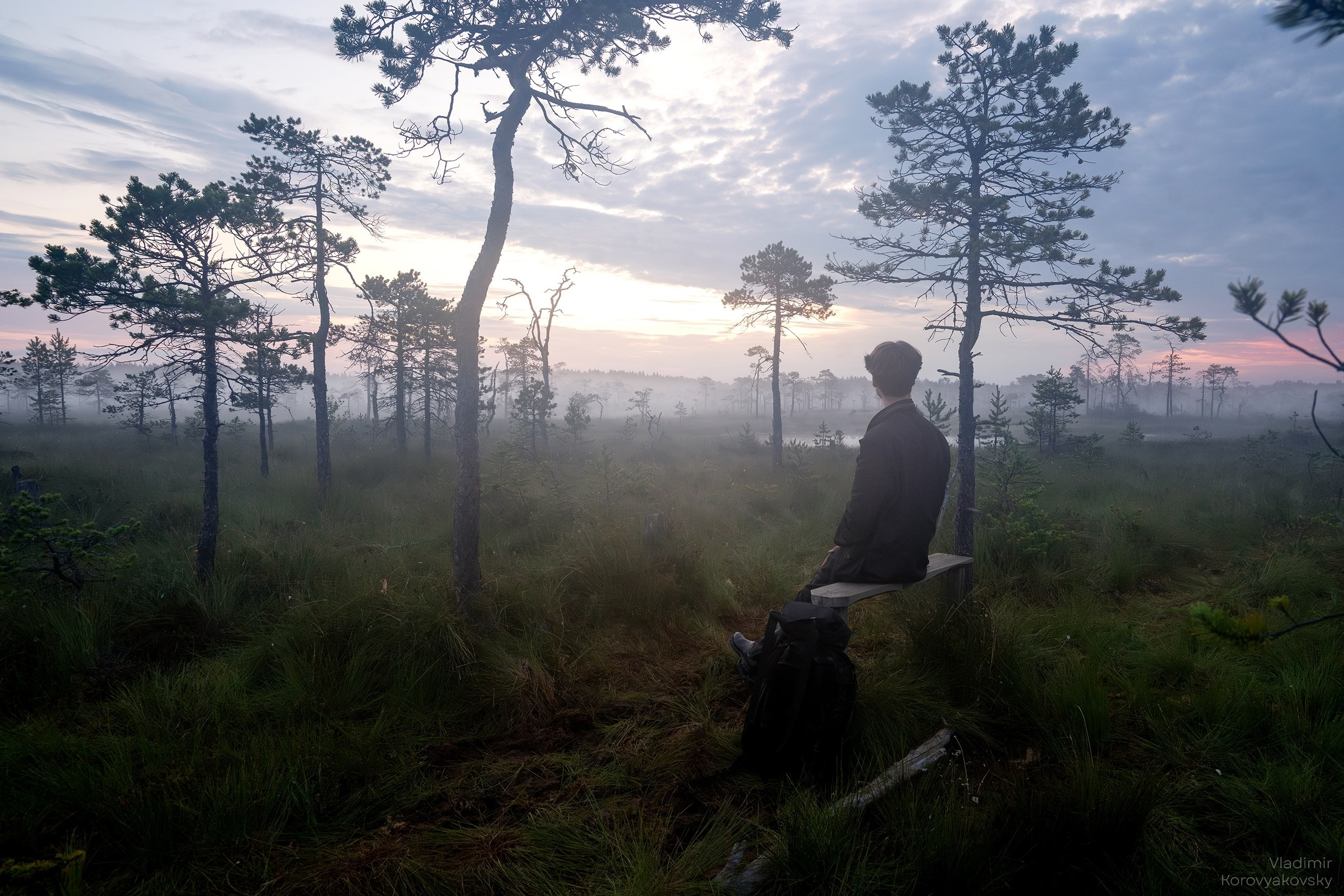 Природа. Фотограф Владимир Коровяковский