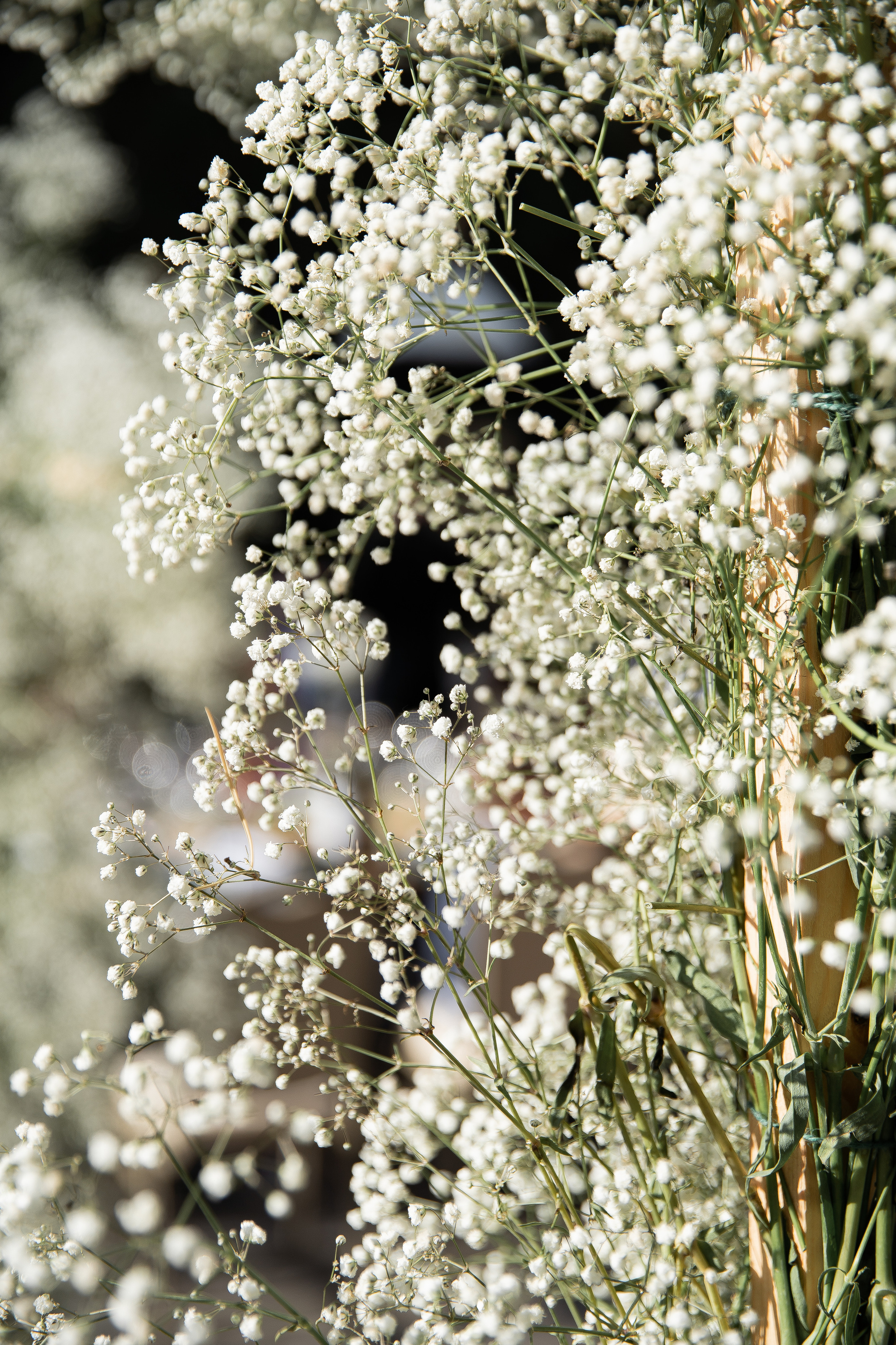 Лена & Антон 24.06.2022. Свадебный Фотограф Илья Чепайкин. Калининград