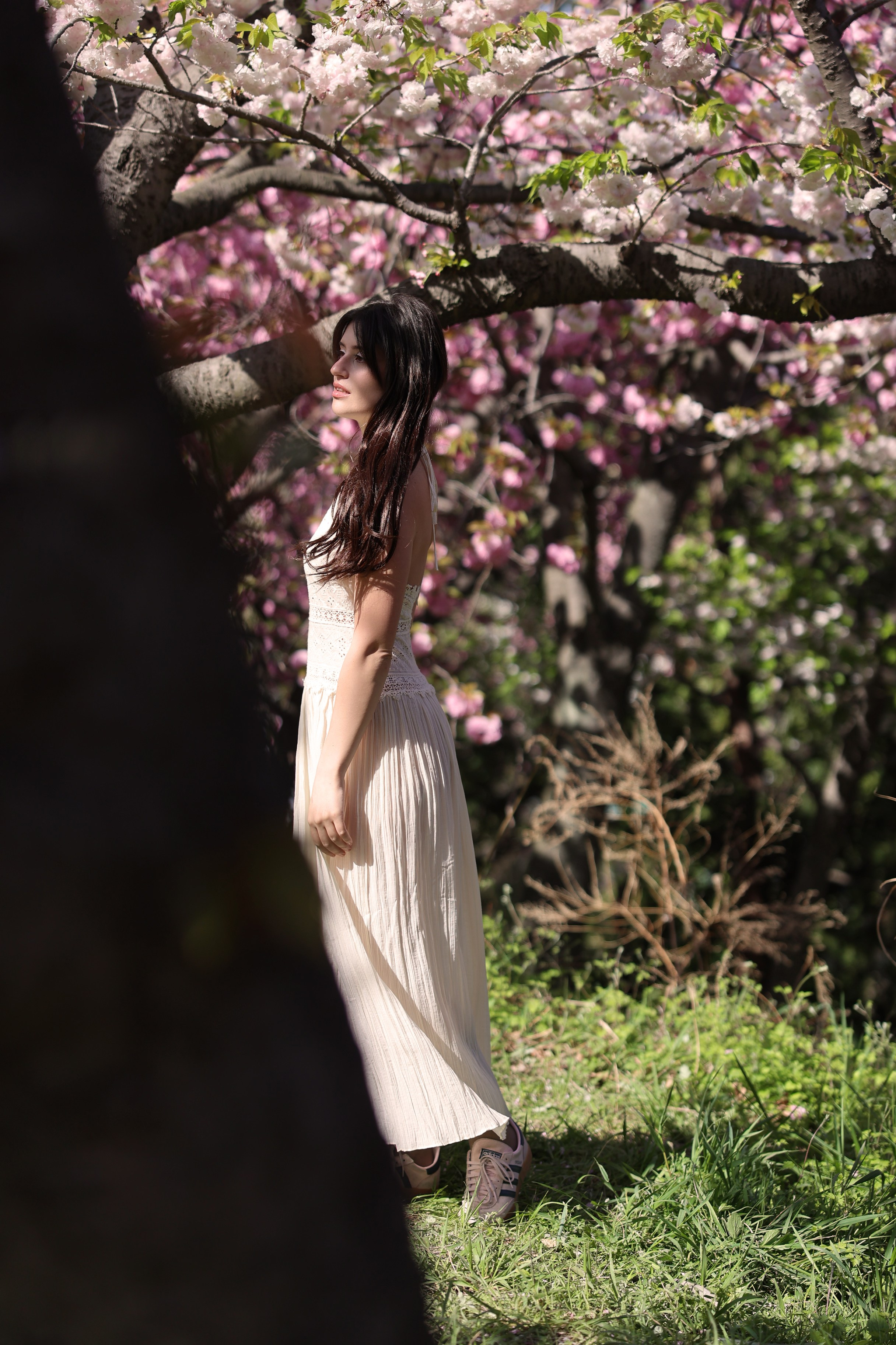 Busan Photographer. Photographer in Busan | Royal Cherry Blossom Solo Photoshoot