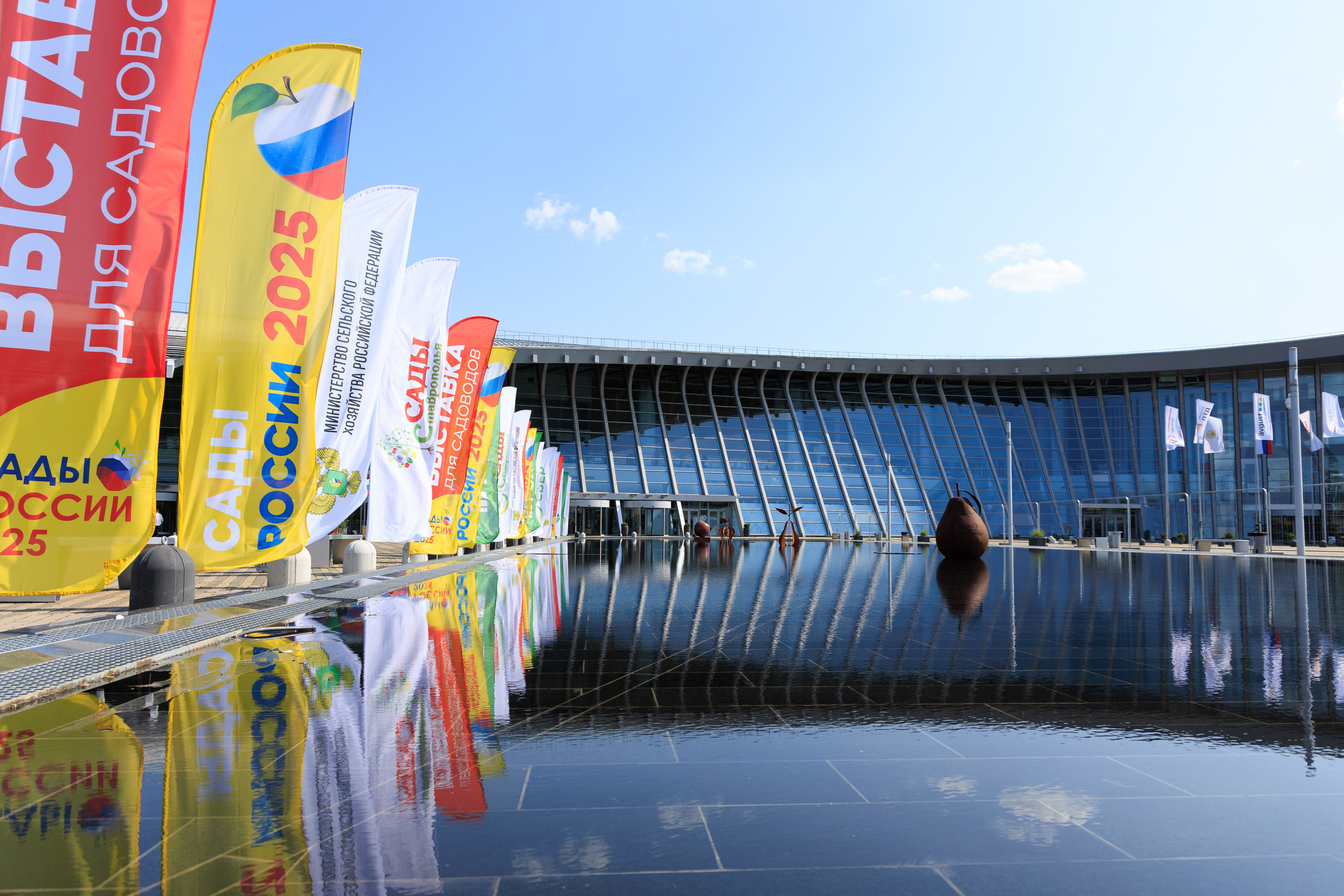 Репортажный фотограф. Репортажная фотосъёмка Минеральные Воды, Пятигорск, Кисловодск, Ставрополь. Репортажный и свадебный фотограф Пятигорск и КМВ