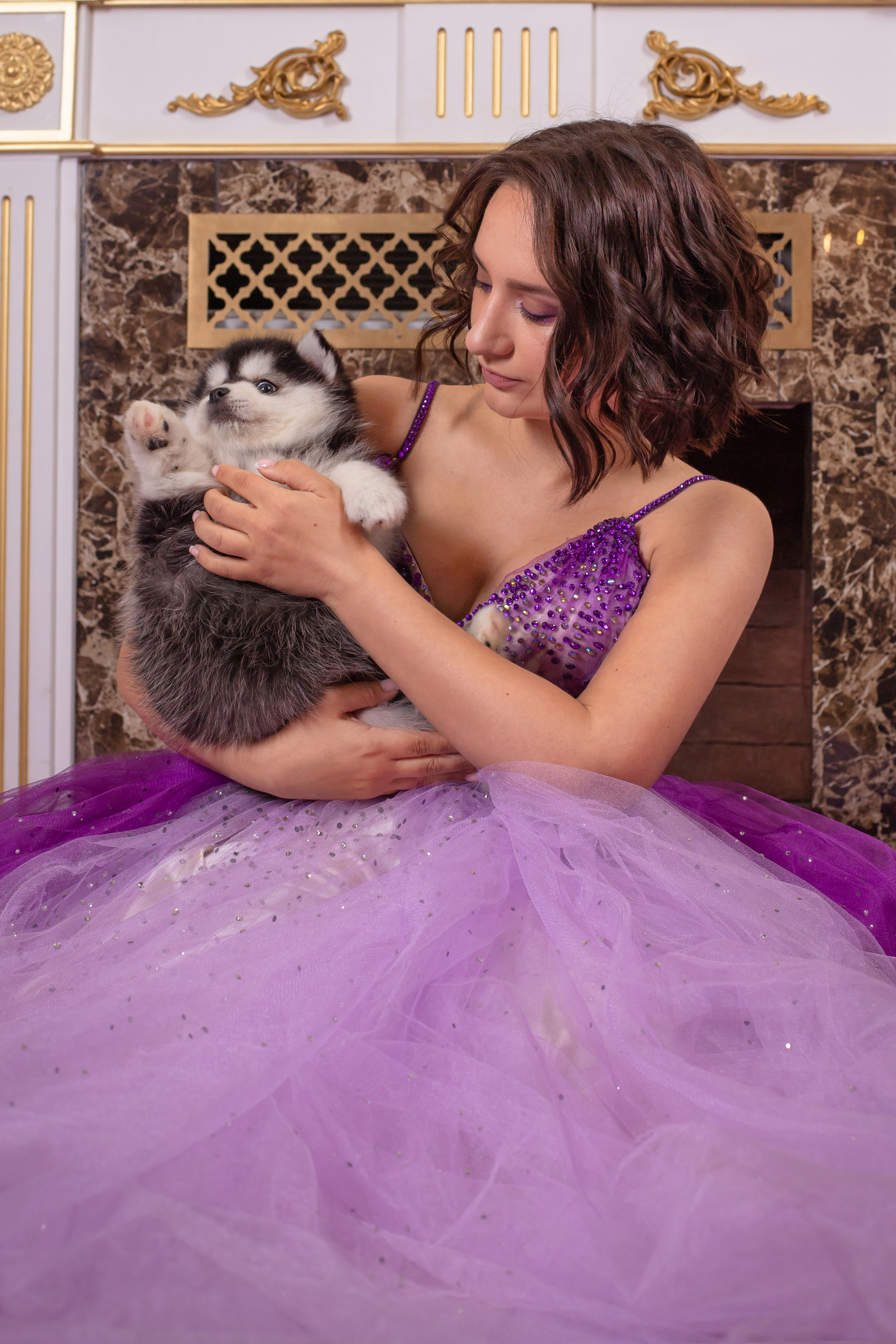 Хаски. Elena Sova — семейный и женский фотограф в Санкт-Петербурге