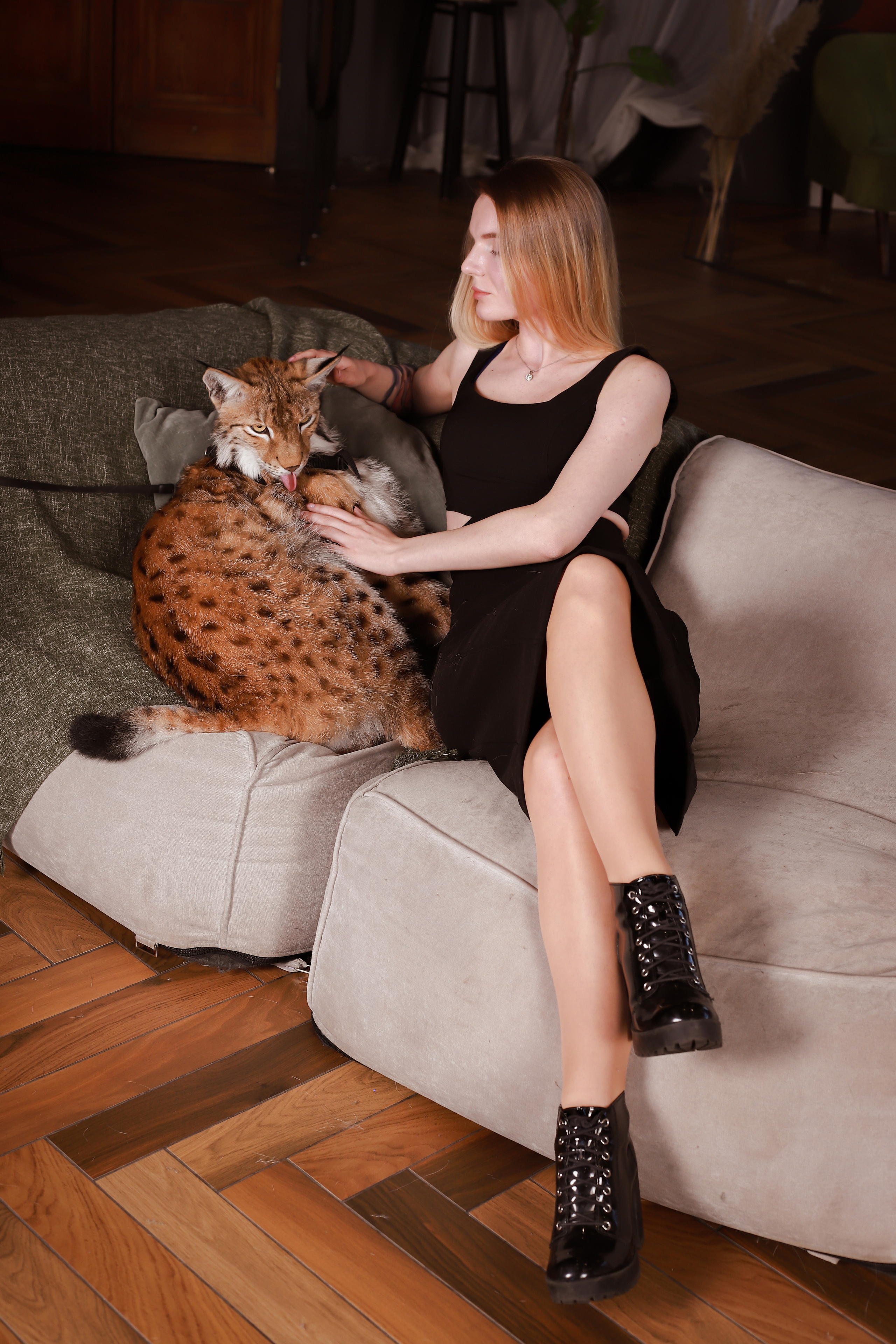 Рысь. Elena Sova — семейный и женский фотограф в Санкт-Петербурге