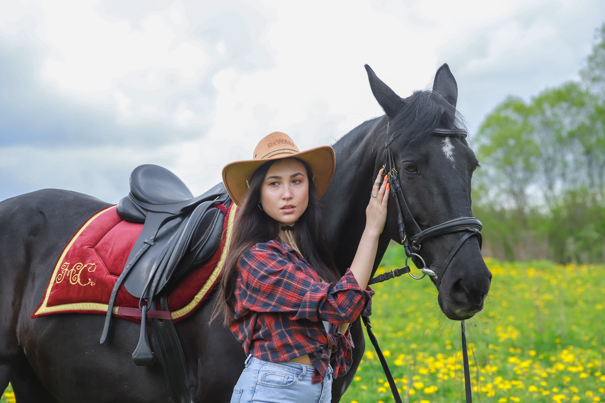 Лошади. Elena Sova — семейный и женский фотограф в Санкт-Петербурге