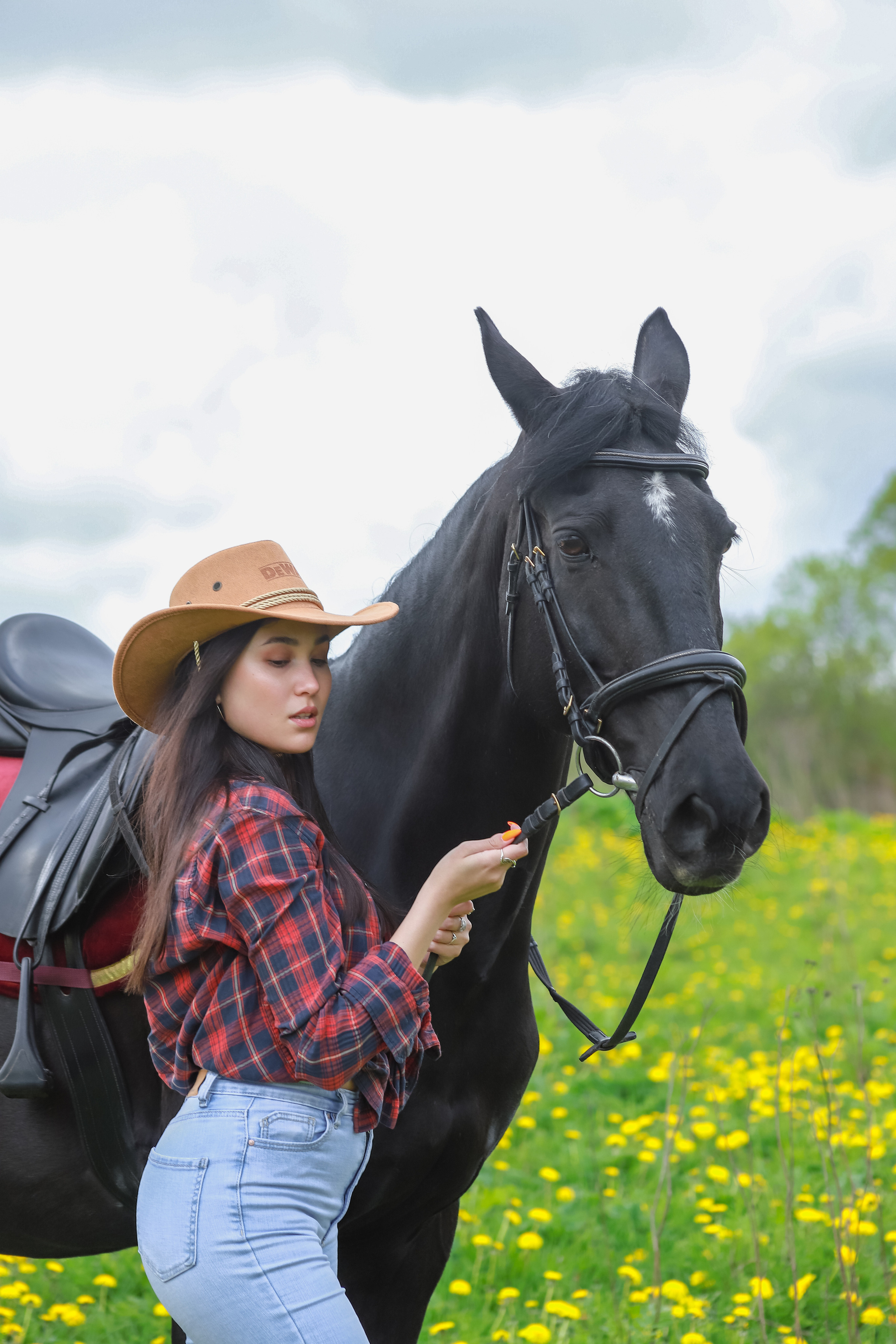 Лошади. Elena Sova — семейный и женский фотограф в Санкт-Петербурге