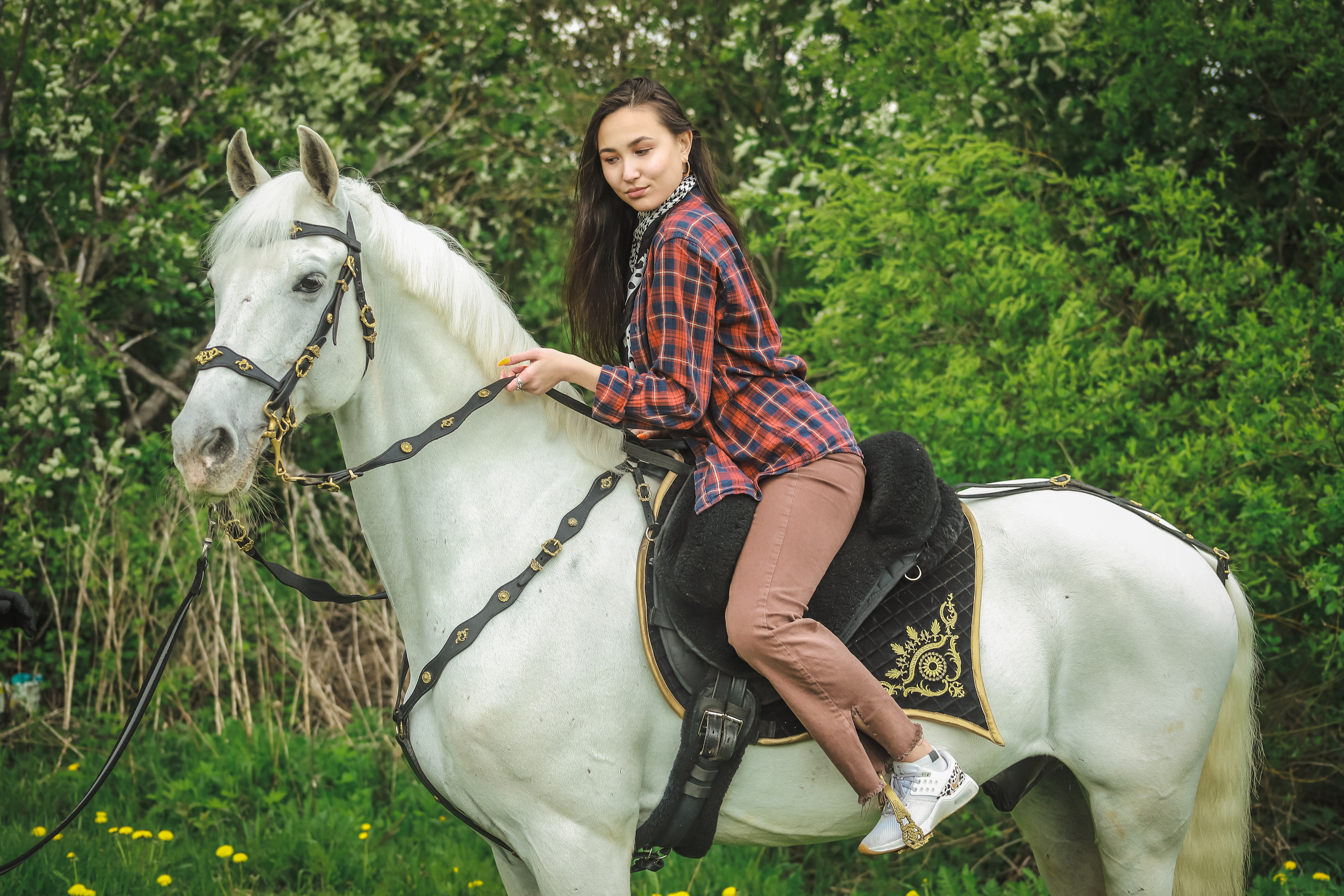 Лошади. Elena Sova — семейный и женский фотограф в Санкт-Петербурге