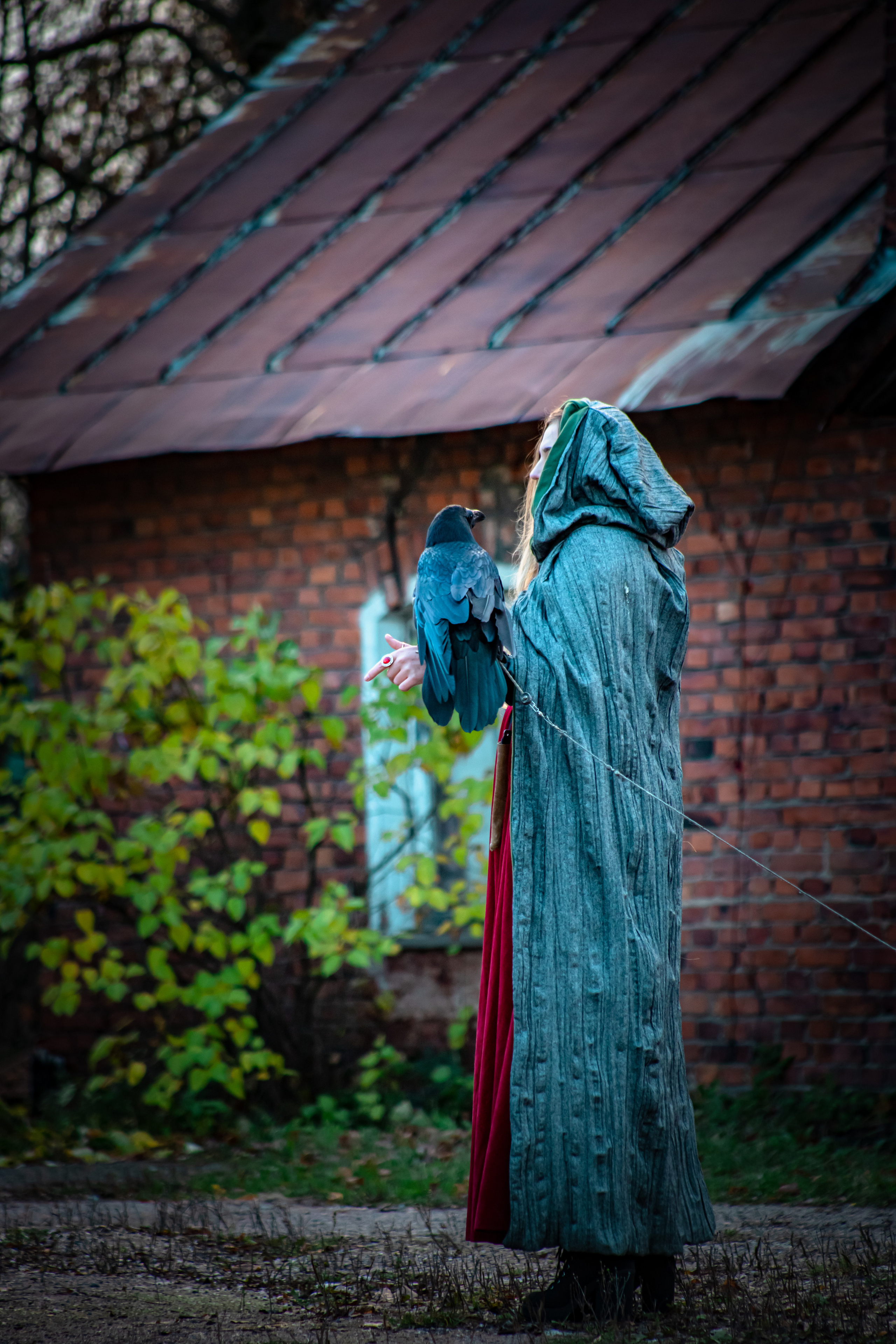 Ворон. Elena Sova — семейный и женский фотограф в Санкт-Петербурге