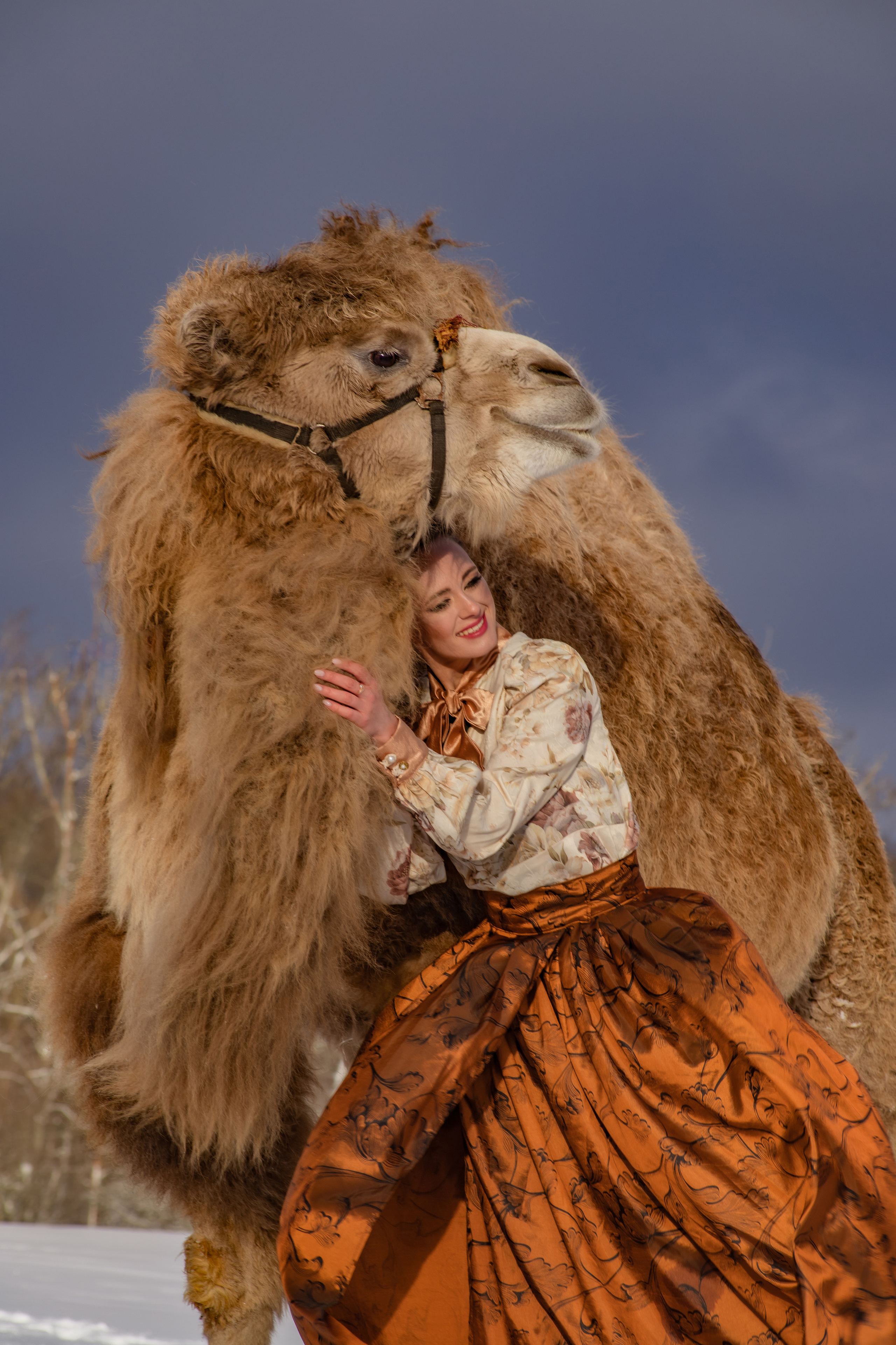 Верблюд. Elena Sova — семейный и женский фотограф в Санкт-Петербурге