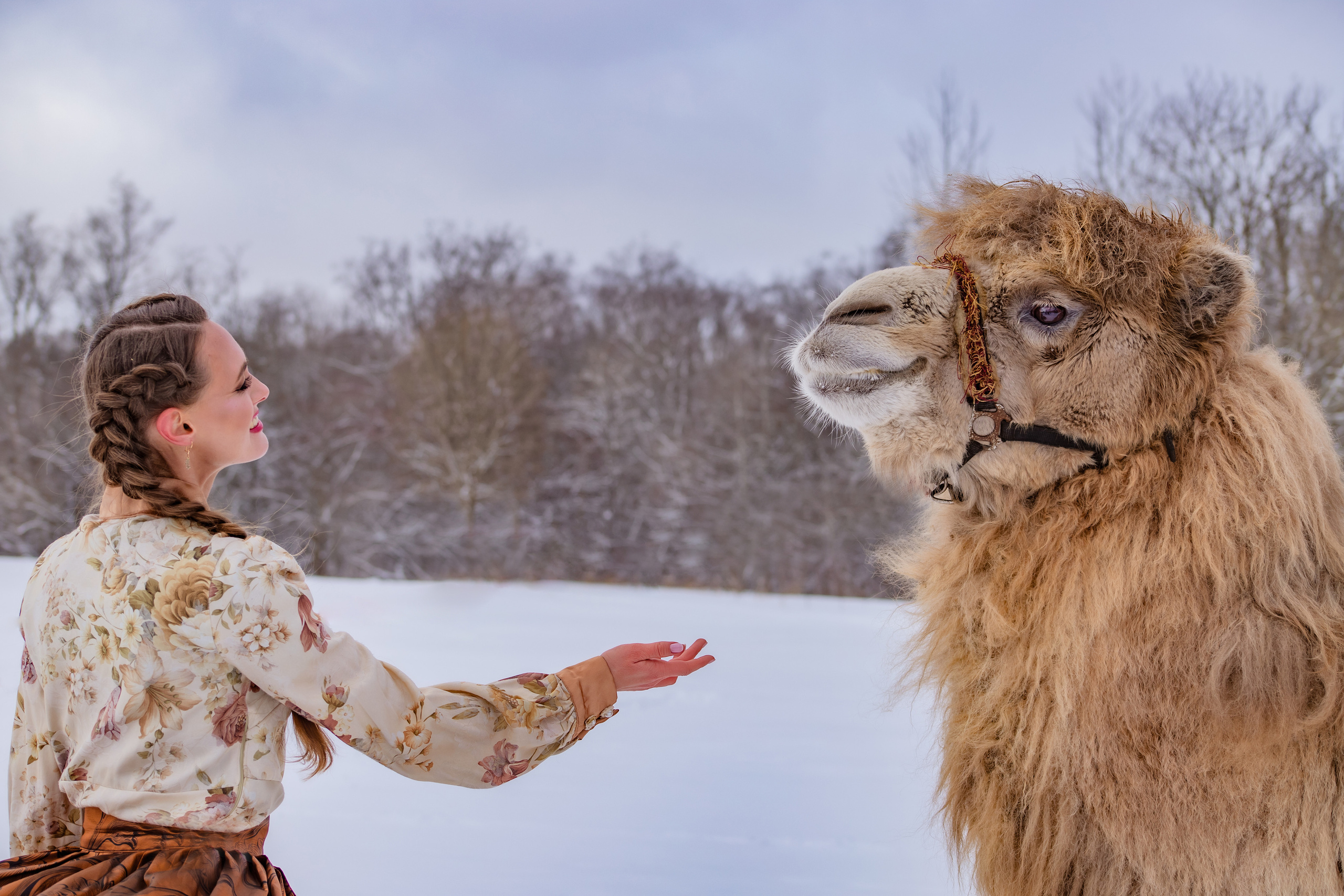 Верблюд. Elena Sova — семейный и женский фотограф в Санкт-Петербурге