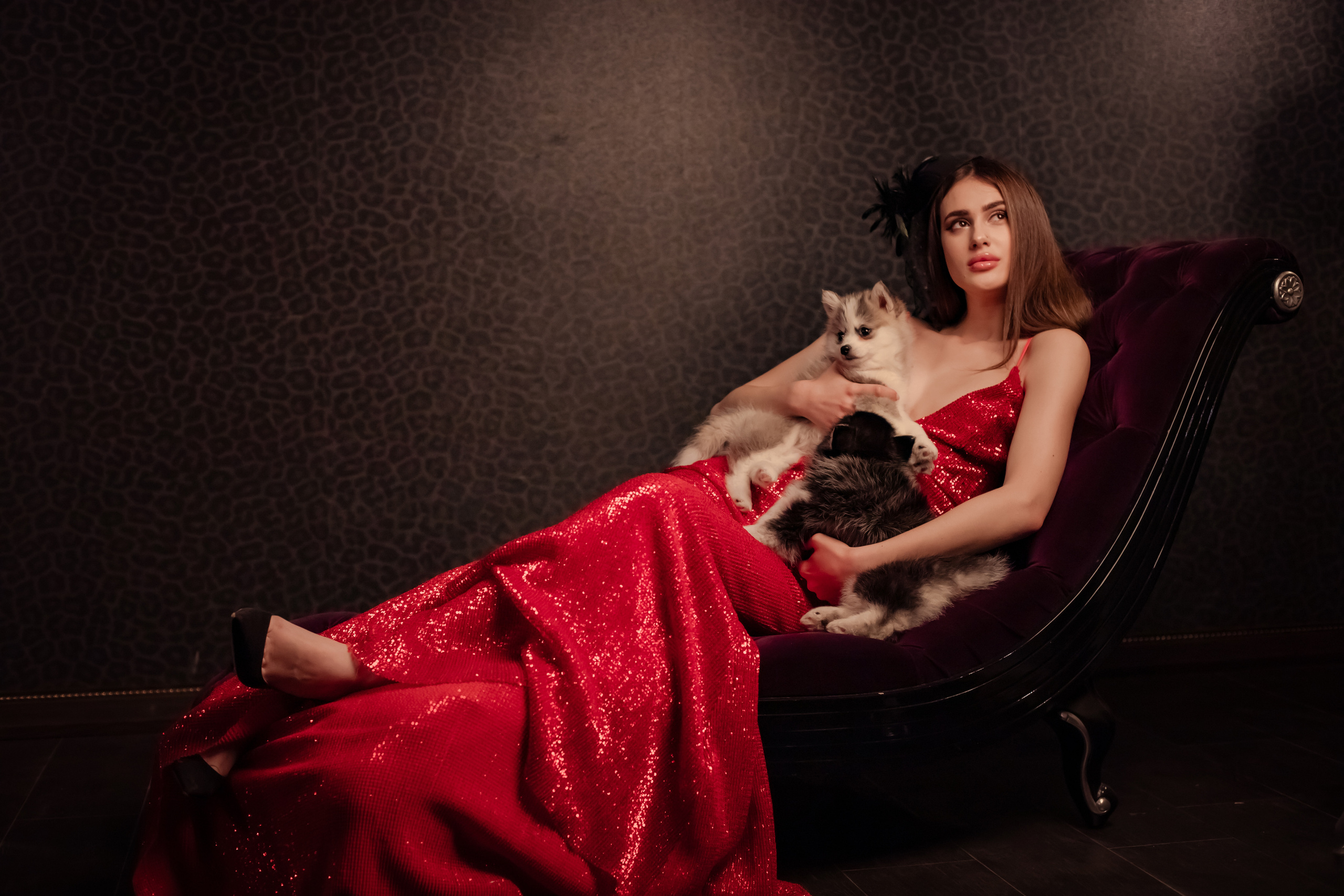 Хаски. Elena Sova — семейный и женский фотограф в Санкт-Петербурге