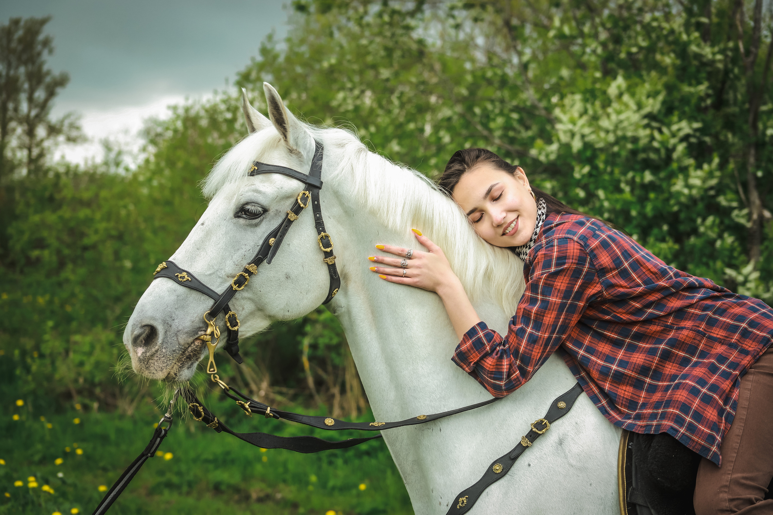Лошади. Elena Sova — семейный и женский фотограф в Санкт-Петербурге