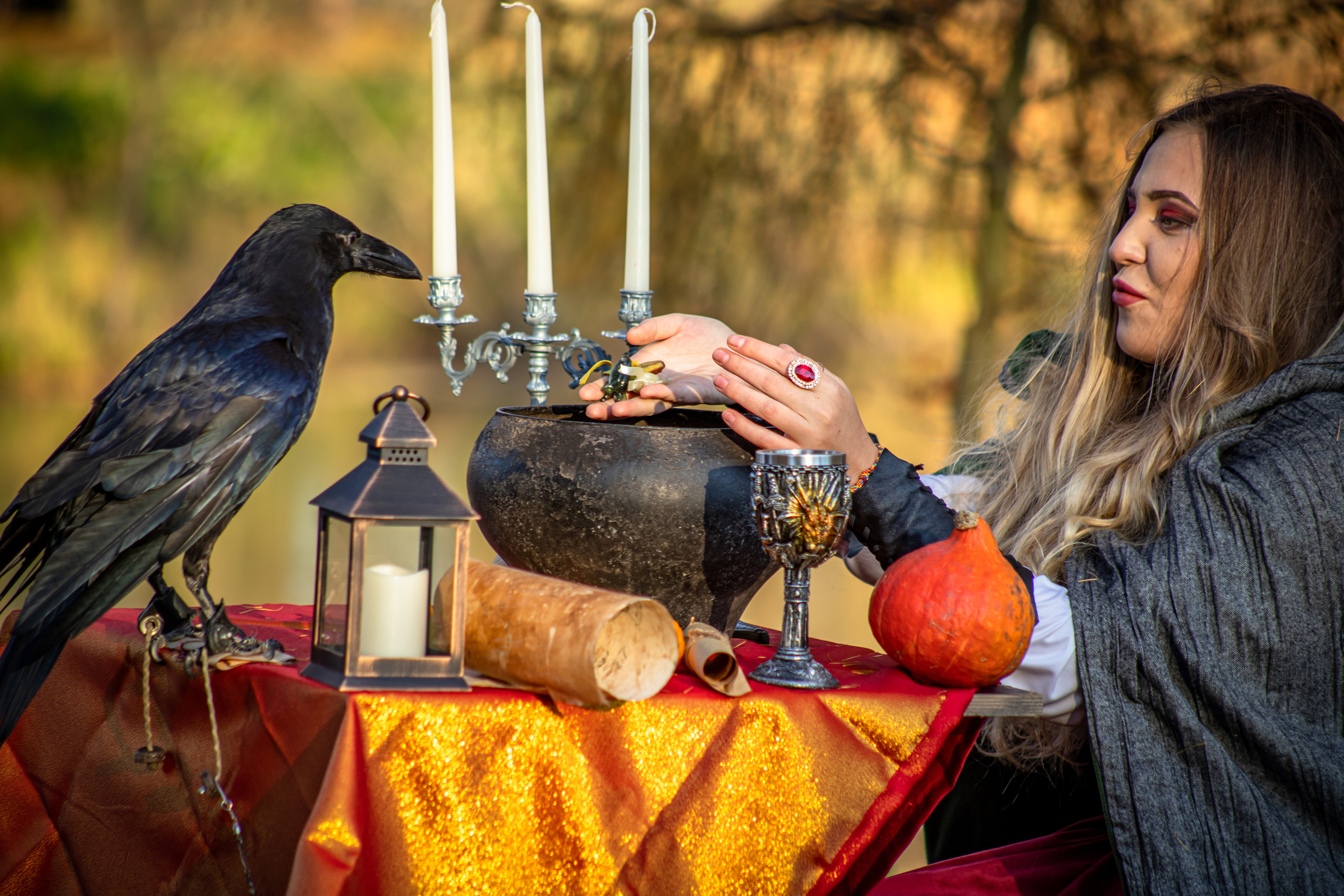 Ворон. Elena Sova — семейный и женский фотограф в Санкт-Петербурге