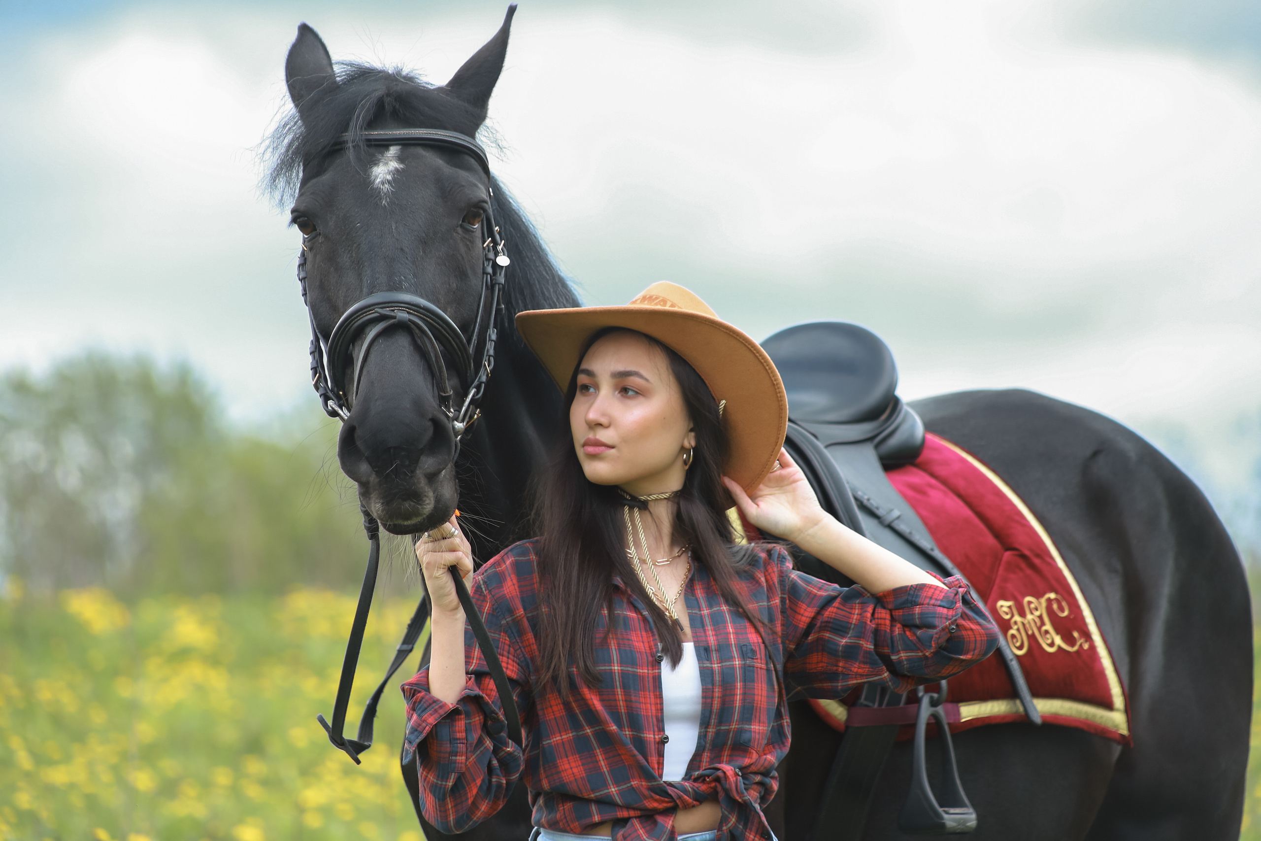Лошади. Elena Sova — семейный и женский фотограф в Санкт-Петербурге
