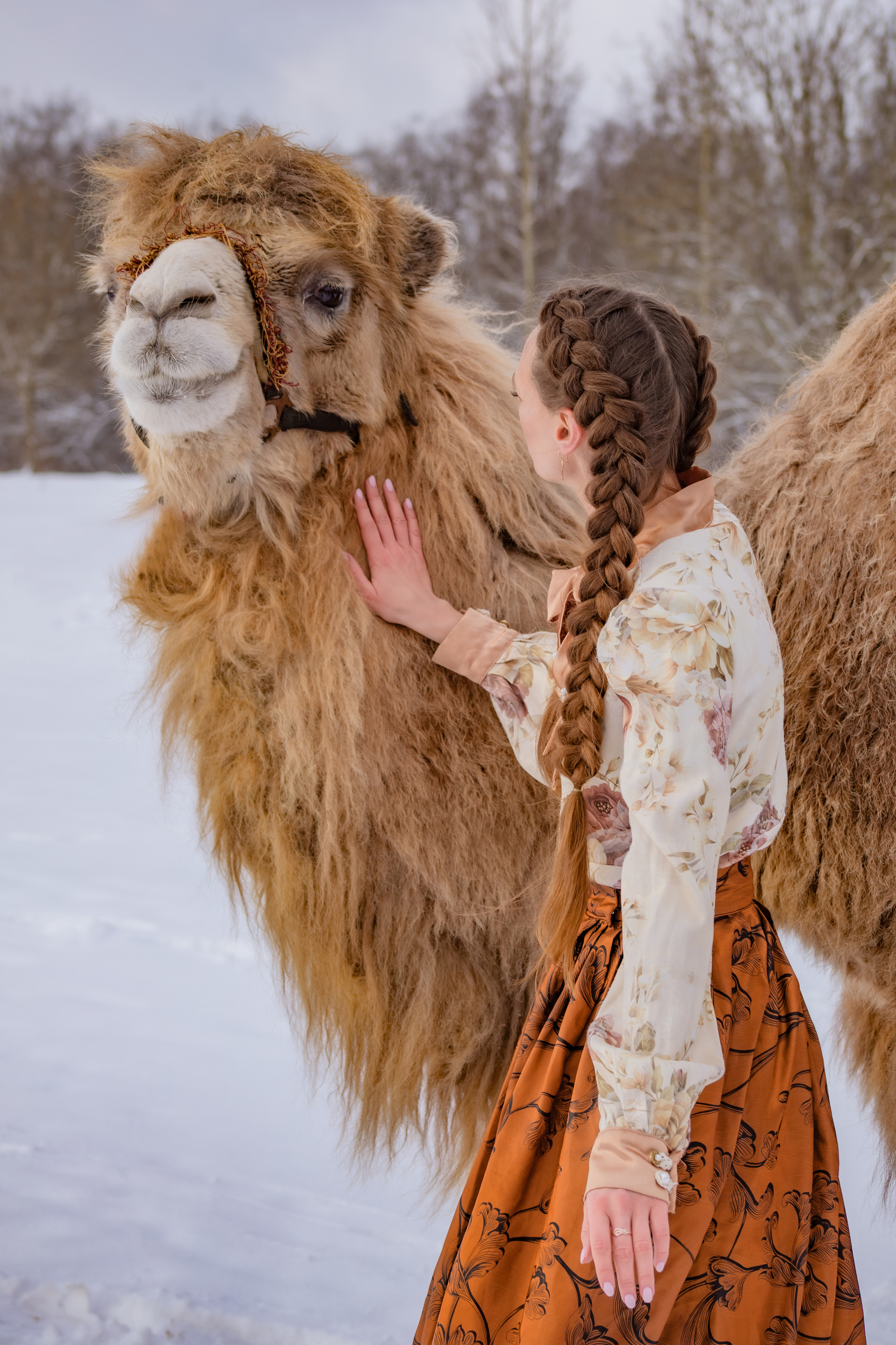 Верблюд. Elena Sova — семейный и женский фотограф в Санкт-Петербурге