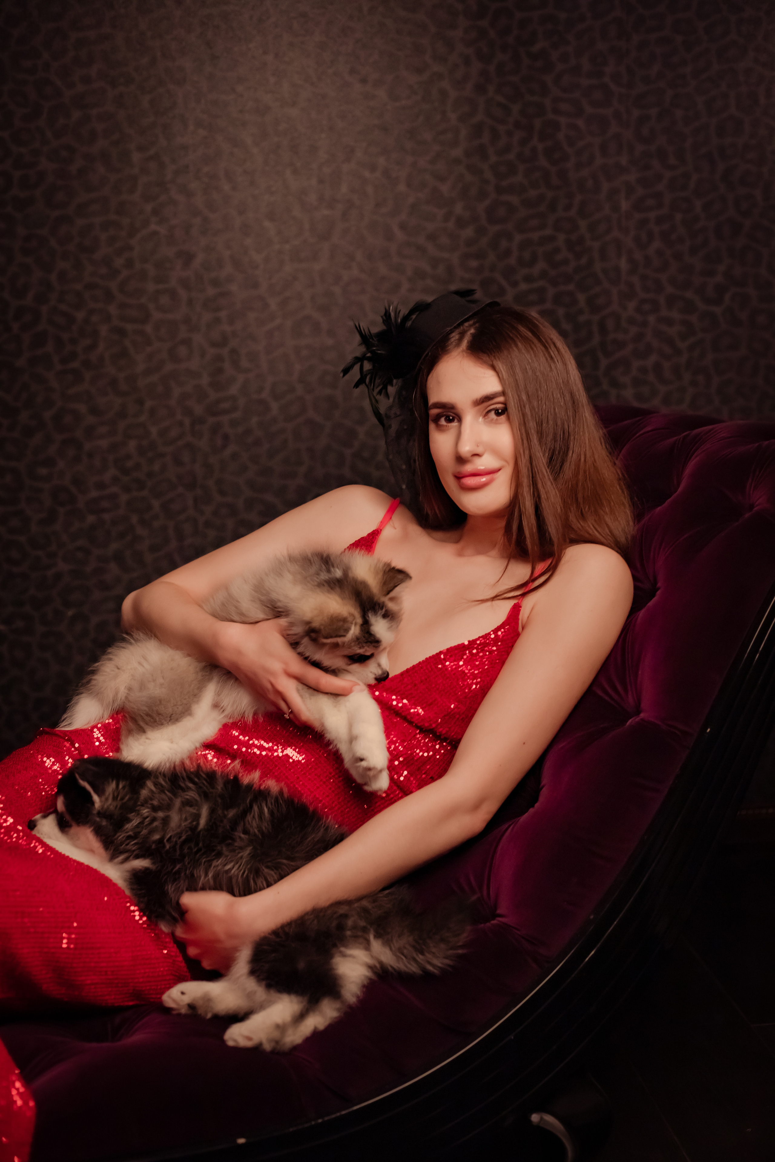 Хаски. Elena Sova — семейный и женский фотограф в Санкт-Петербурге