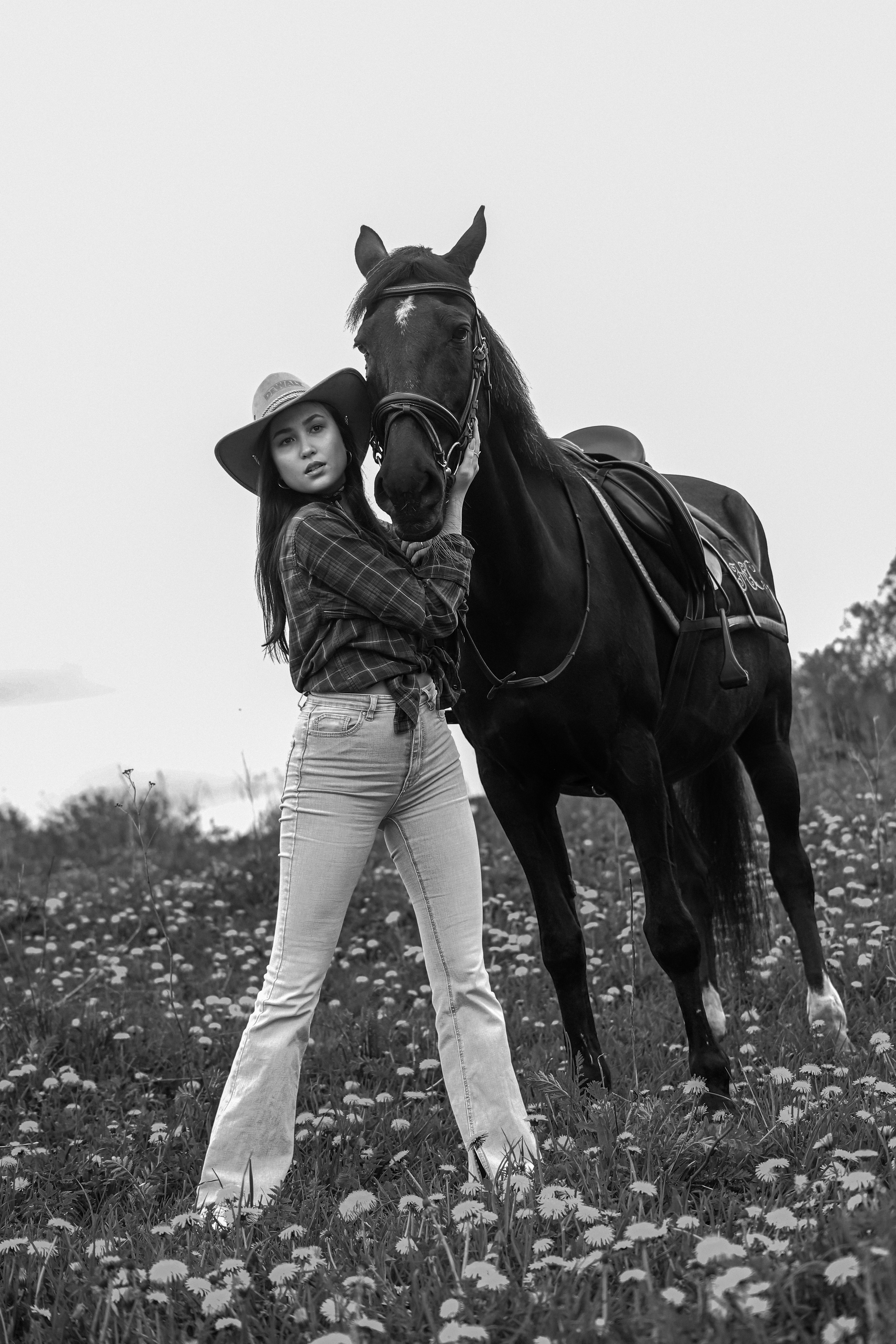 Лошади. Elena Sova — семейный и женский фотограф в Санкт-Петербурге