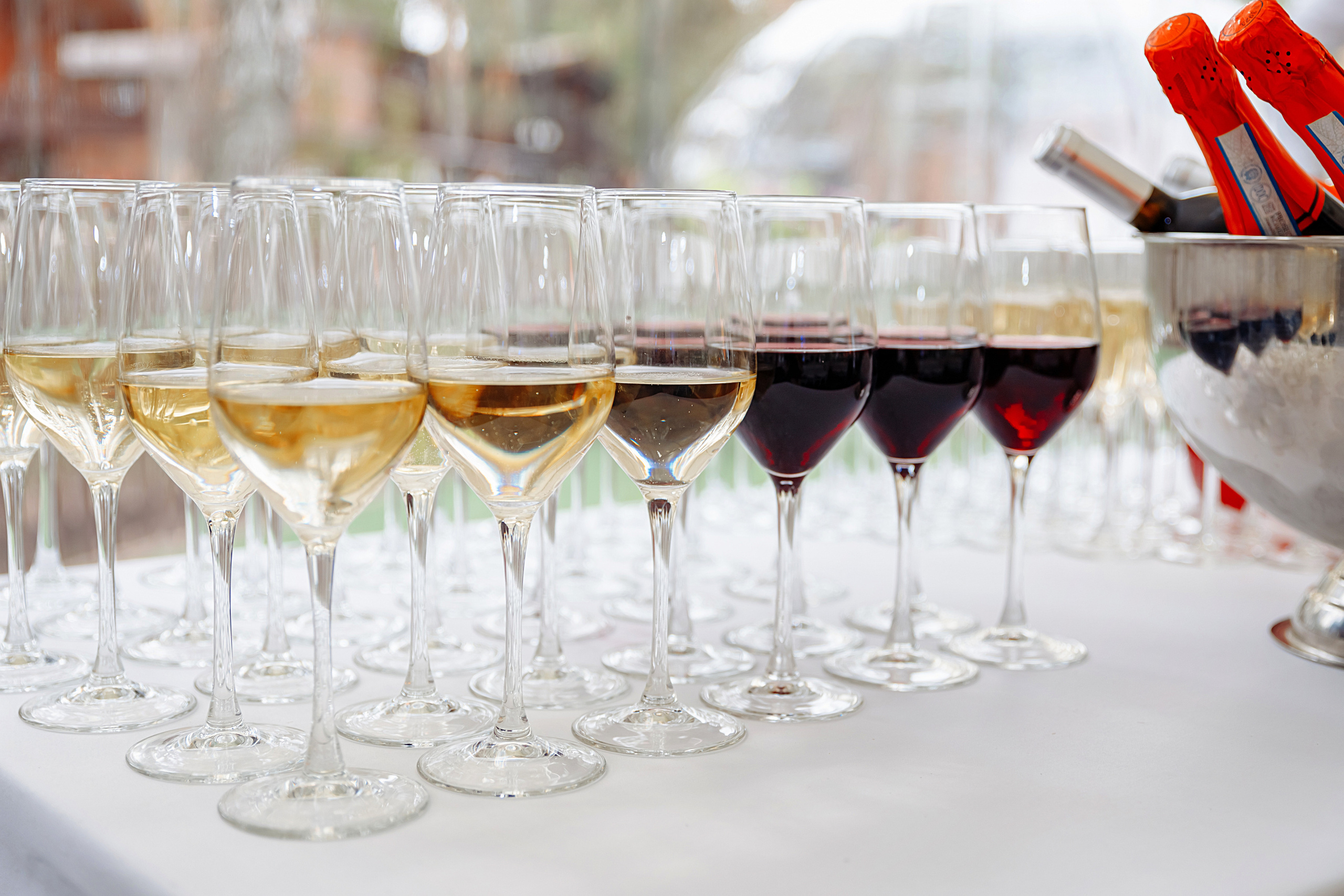 Корпоратив в Жемчужине (загородный комплекс). Elena Sova — семейный и женский фотограф в Санкт-Петербурге