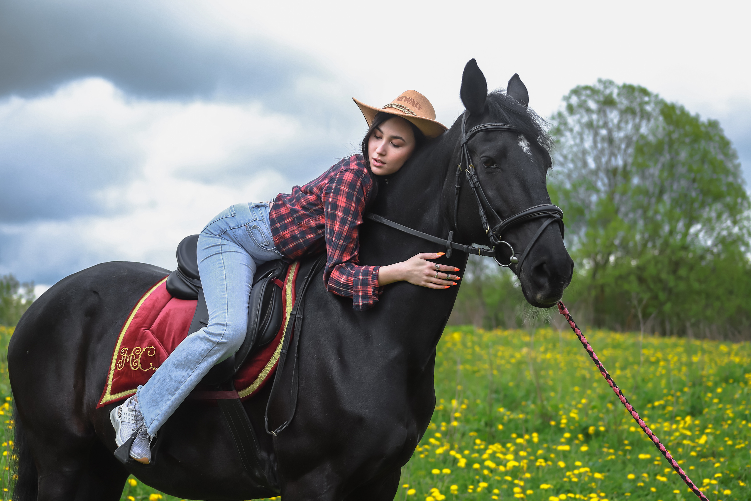 Лошади. Elena Sova — семейный и женский фотограф в Санкт-Петербурге