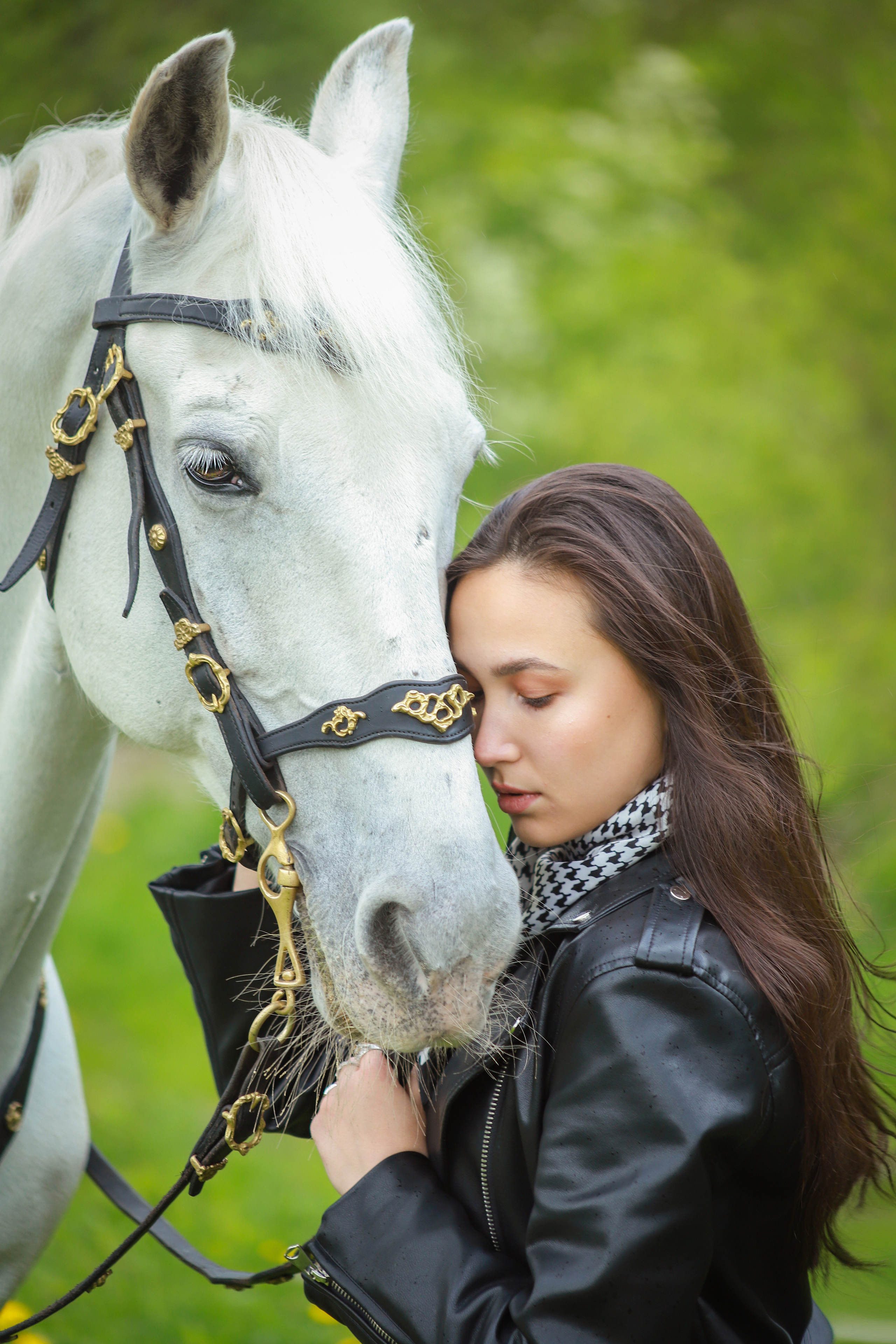 Лошади. Elena Sova — семейный и женский фотограф в Санкт-Петербурге