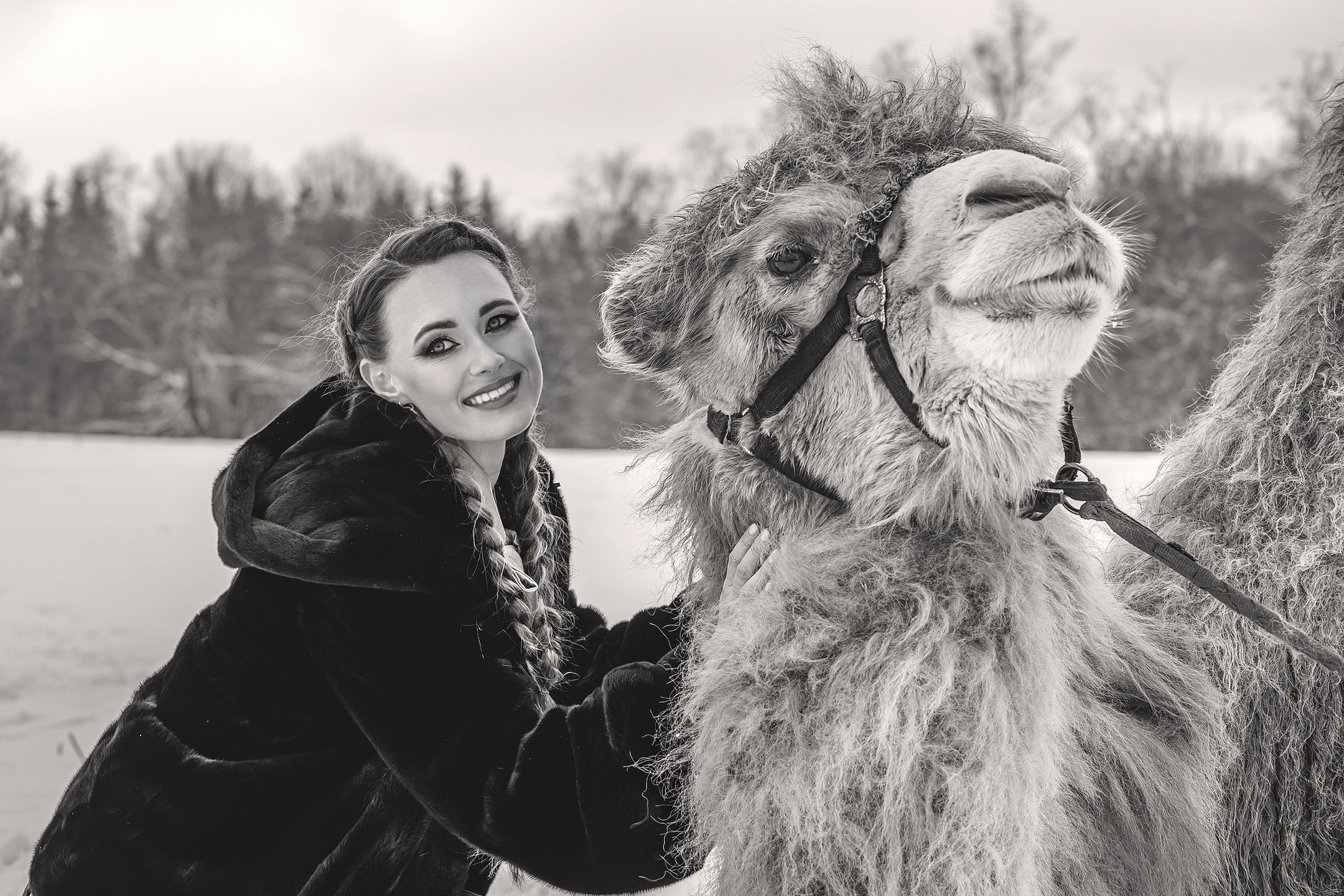 Верблюд. Elena Sova — семейный и женский фотограф в Санкт-Петербурге