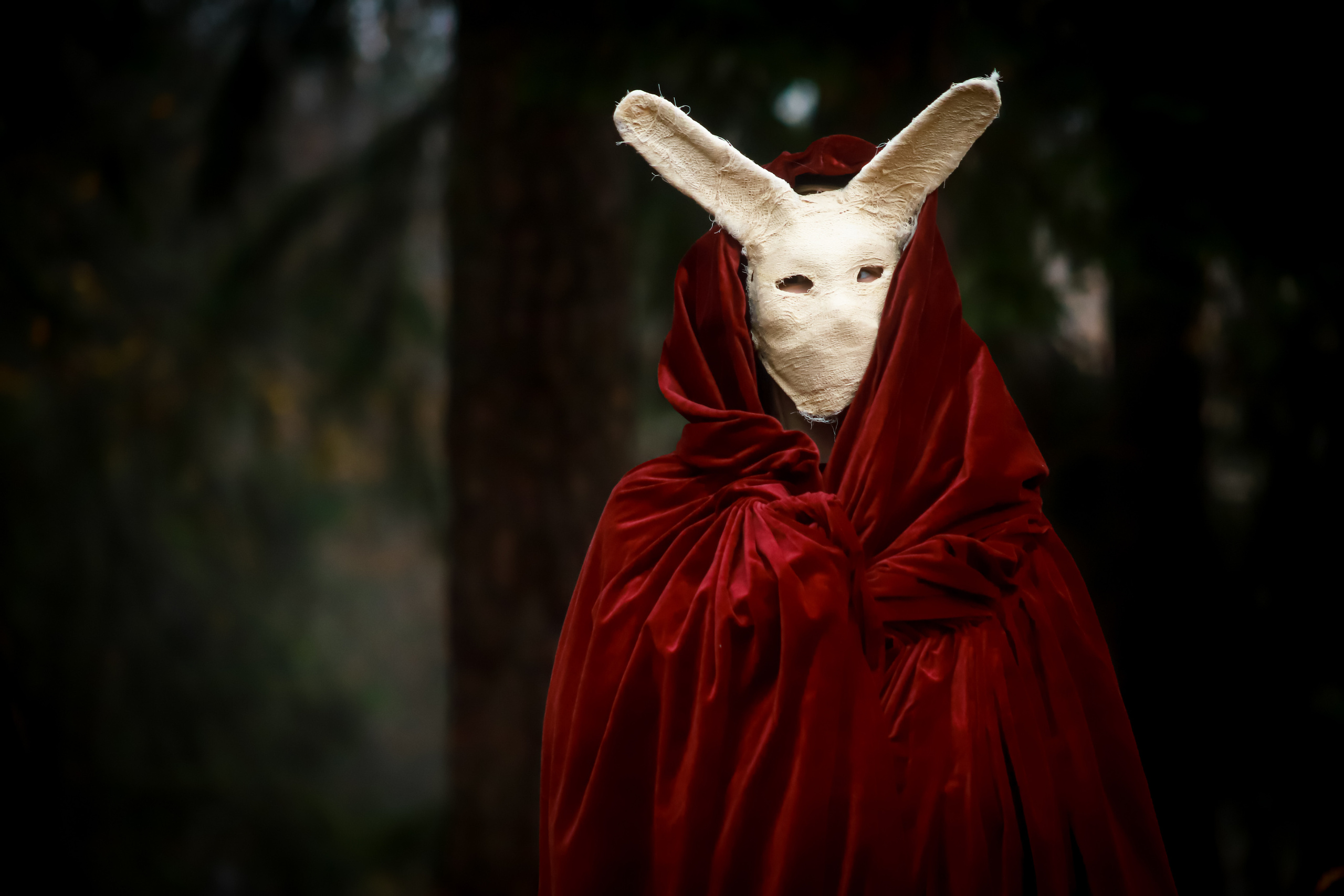 Мистика в Шуваловском (хэллоуин). Elena Sova — семейный и женский фотограф в Санкт-Петербурге