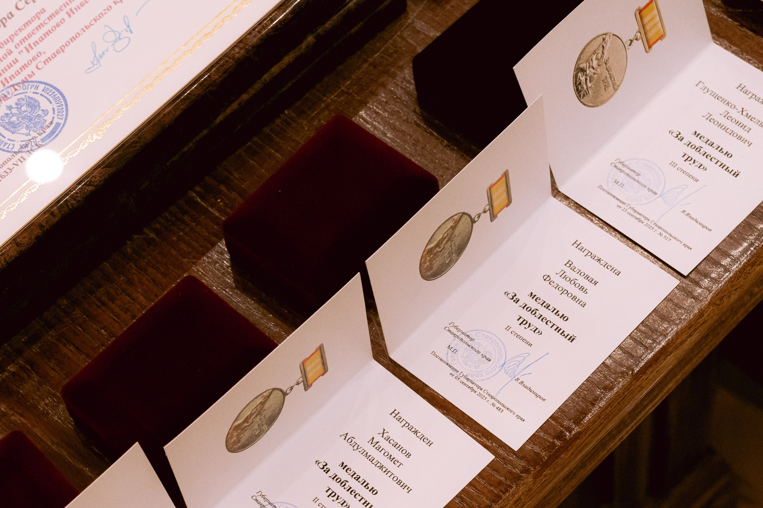 СК 2026. Портретный, семейный и репортажный фотограф в Ставрополе Ульяна Доценко