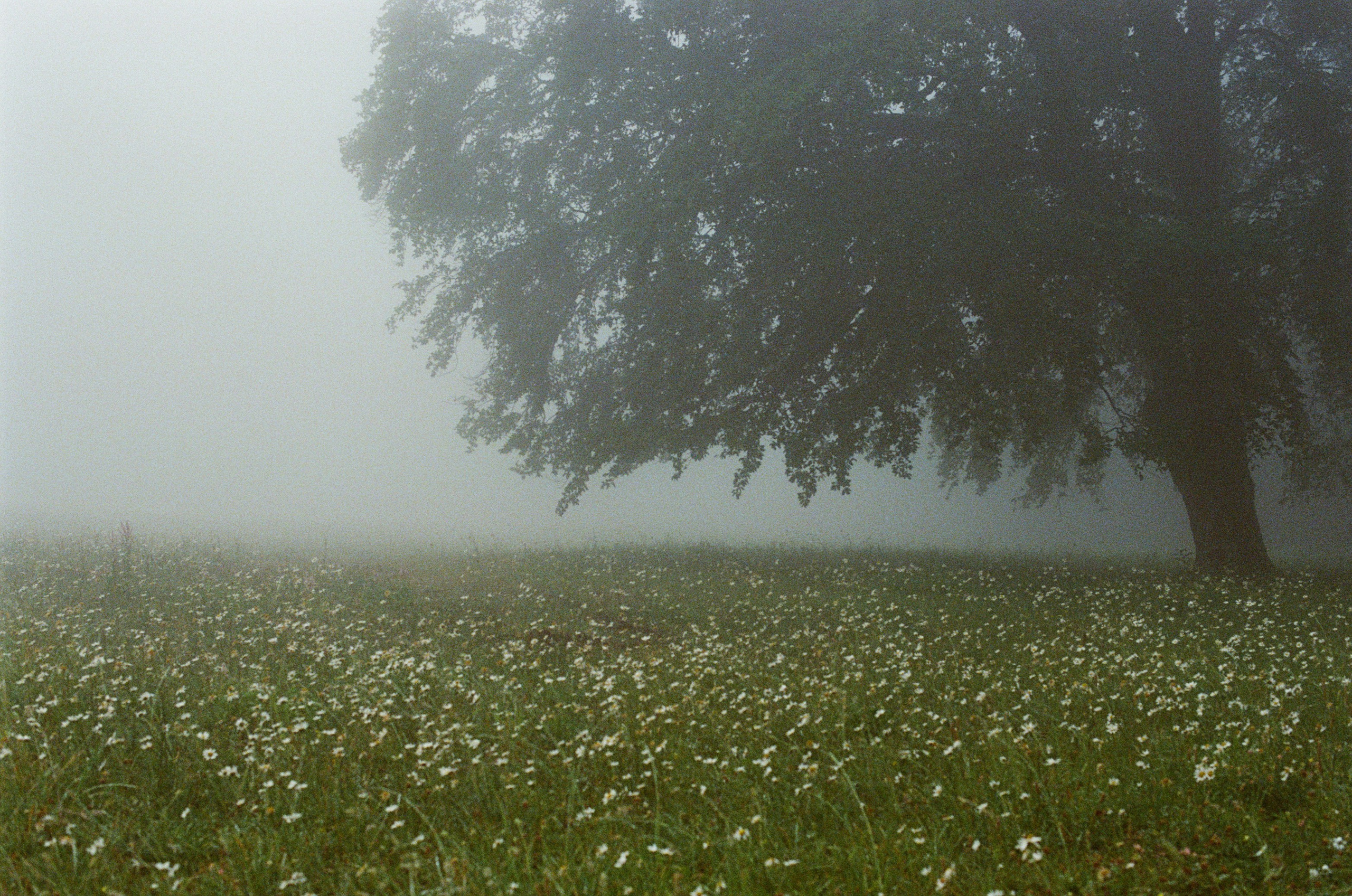 Dig it // ukraine, crimea III. EVER EXPOSED