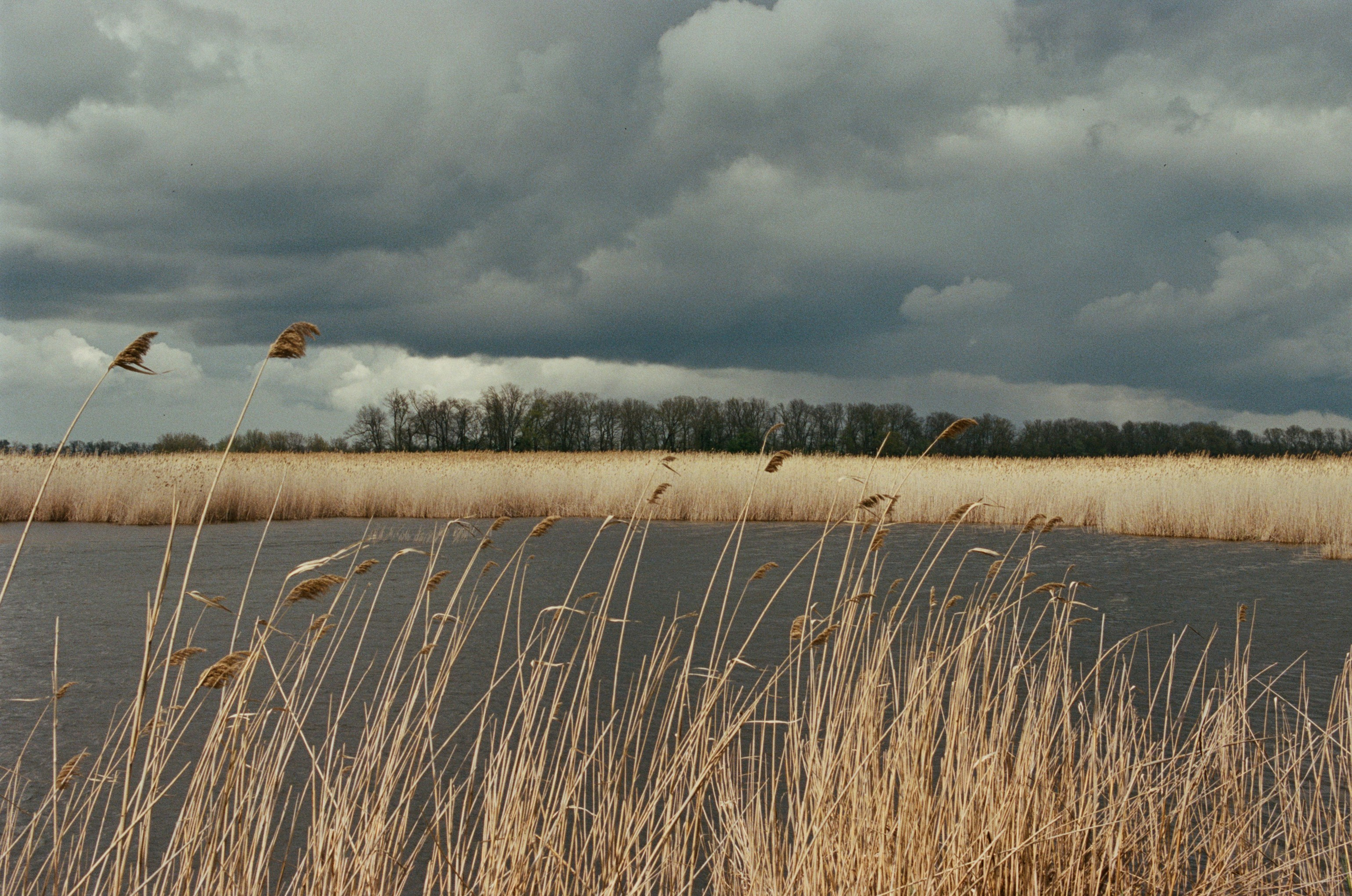 This time // ukraine, crimea II. EVER EXPOSED