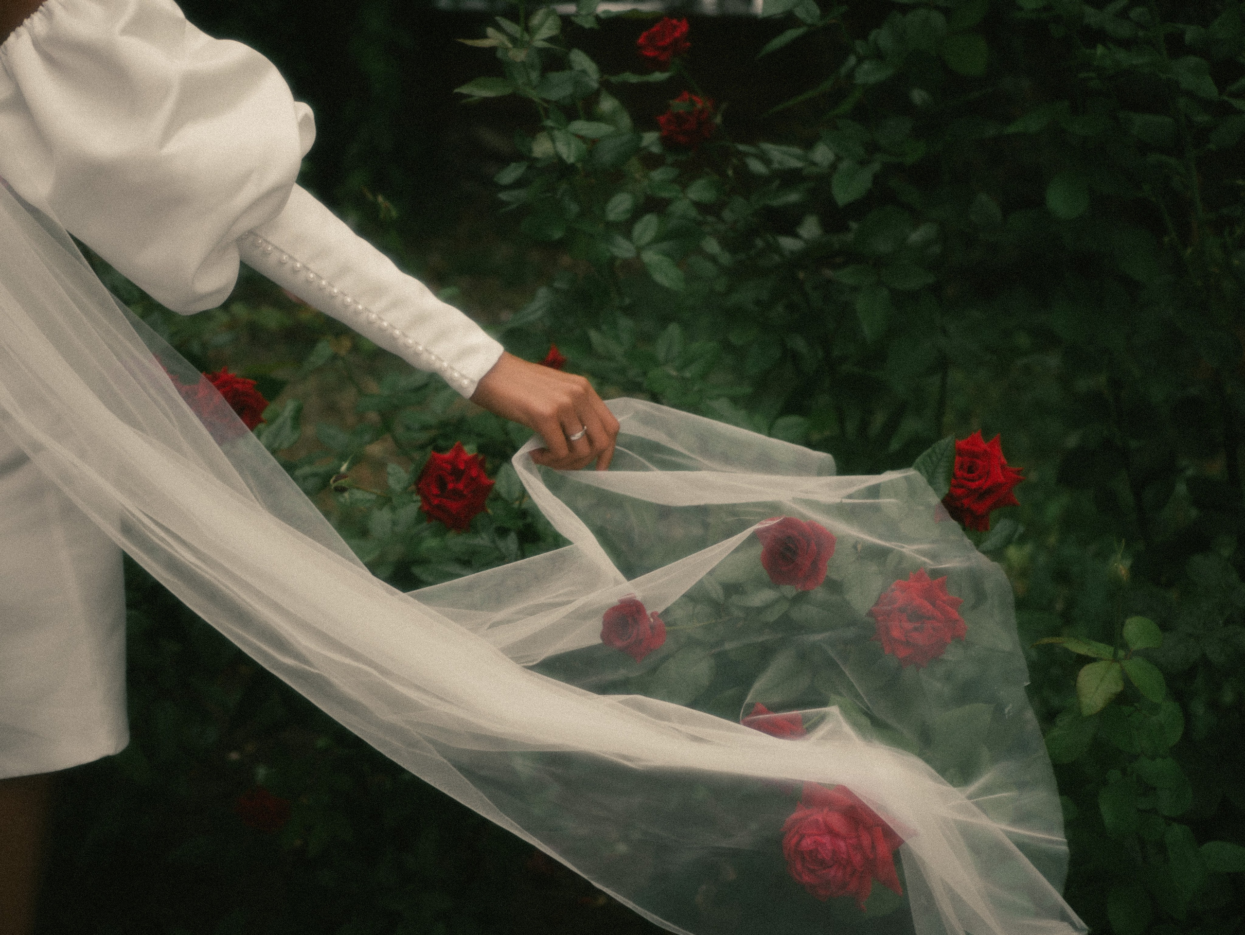 Любовь, радуга и розы. Фотограф Нэля Хаматова