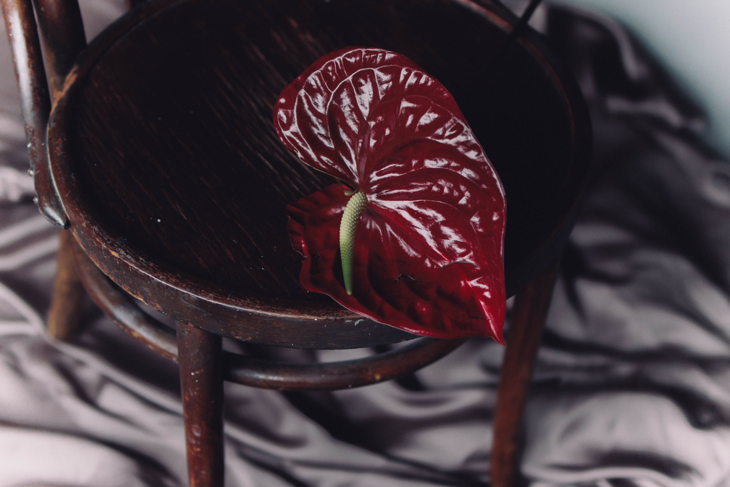 Pregnancy Anya. Фотография о важном