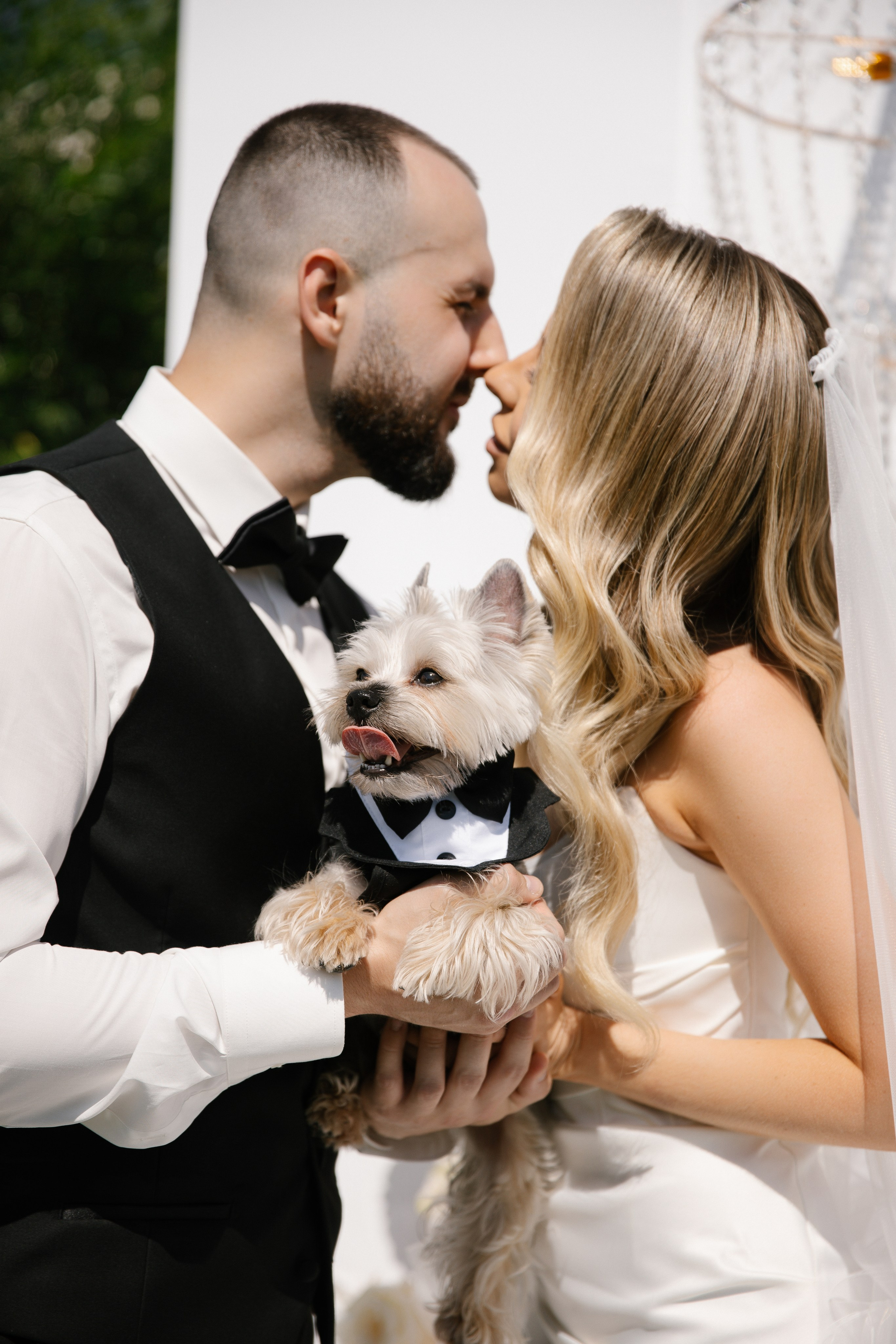 Christina & Anton. Свадебный фотограф в Барнауле Юлия Гербер