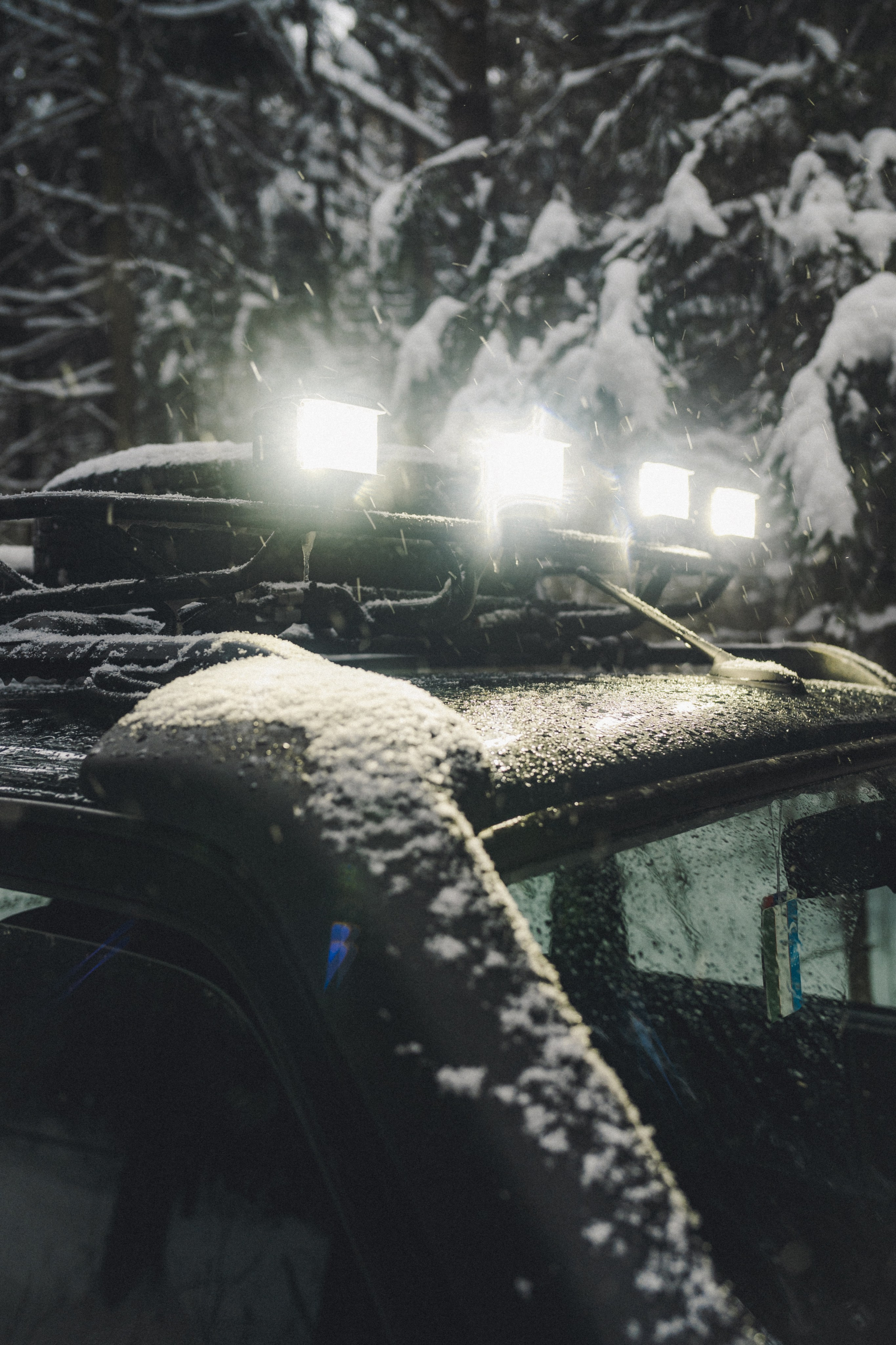 Niva Bronto (Nessie) x FAUNO. Фотограф Илья К. в Москве