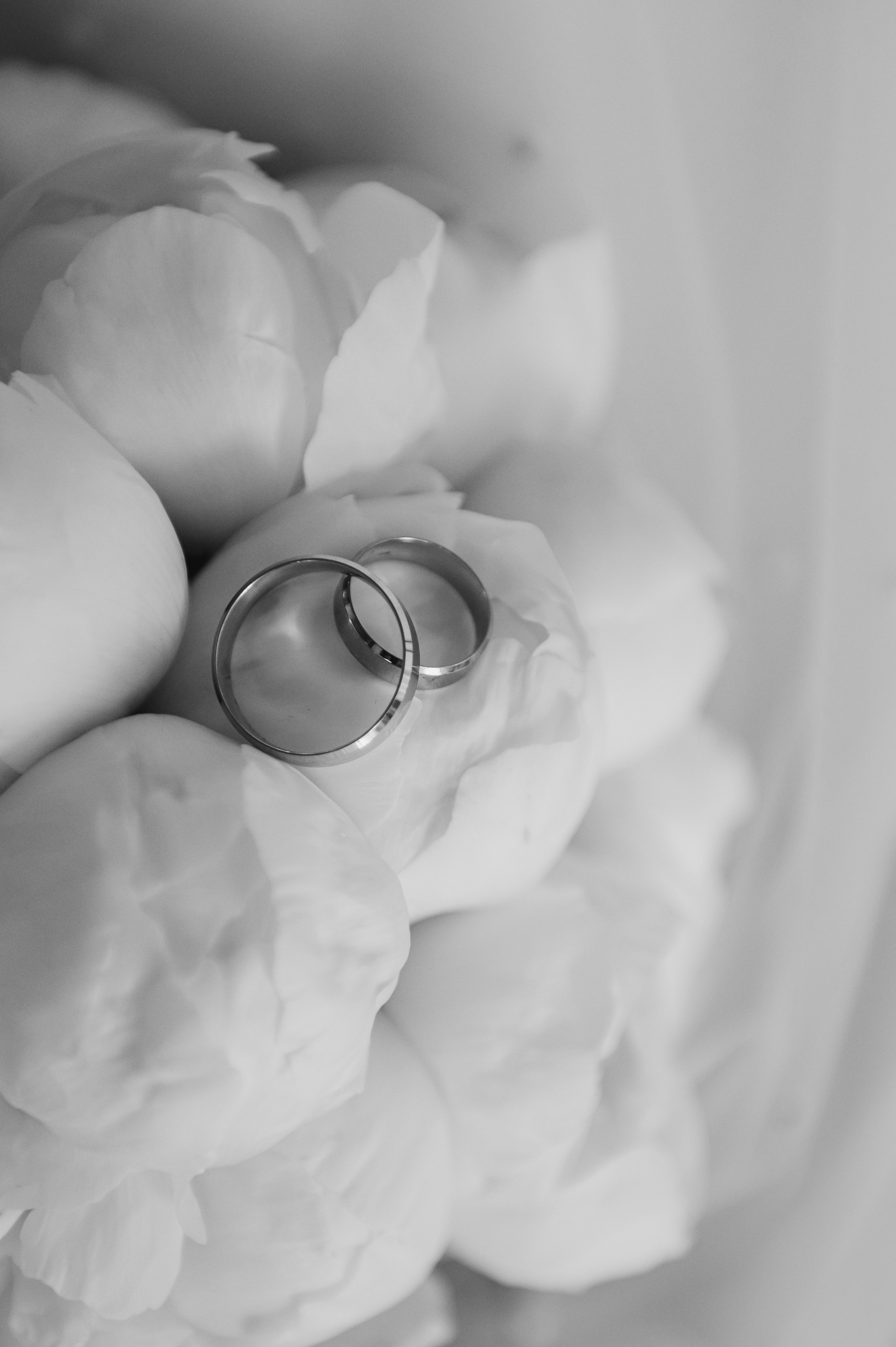 Свадебная съемка Волгодонск