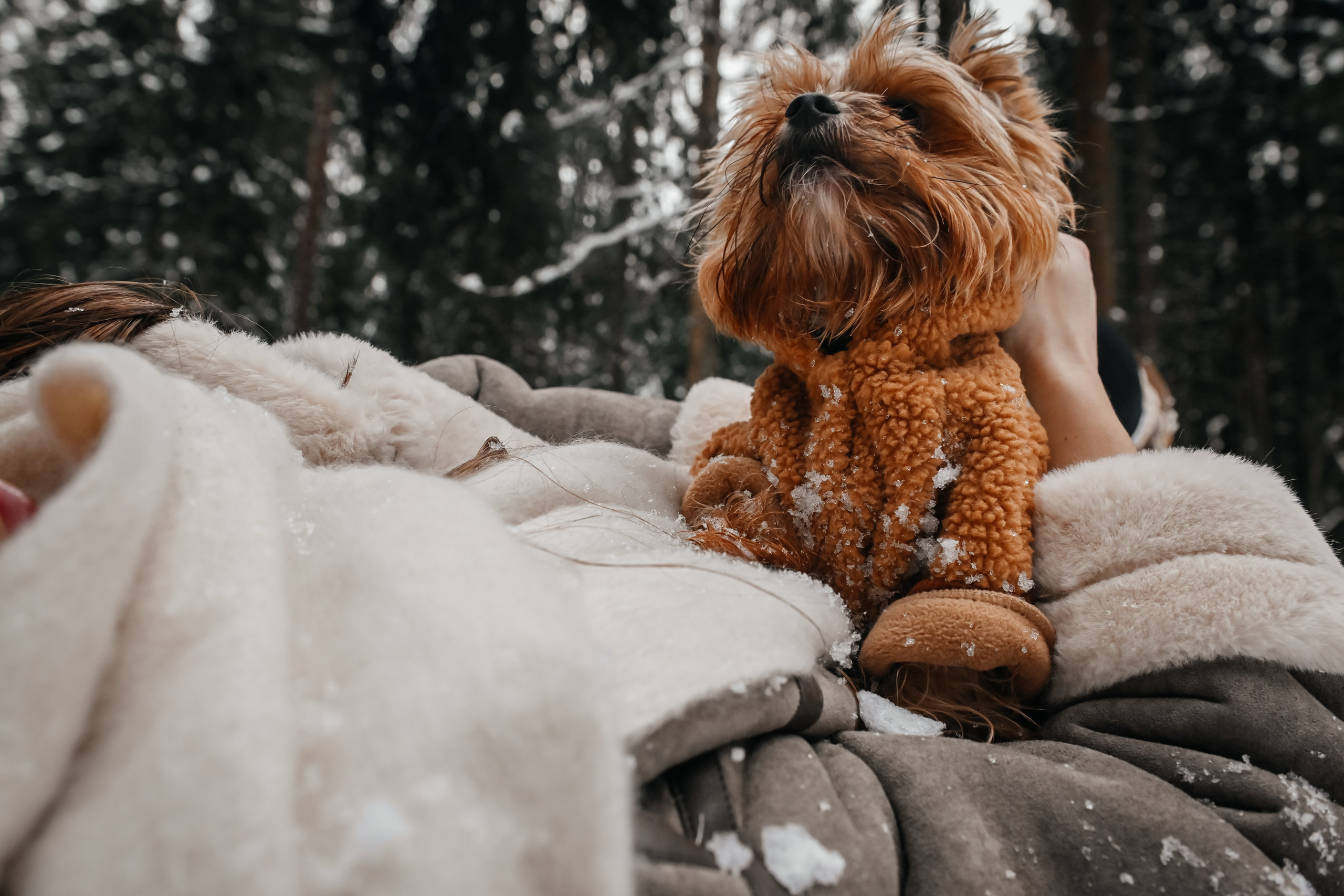 Семейные съемки. Фотограф Марина Лысова