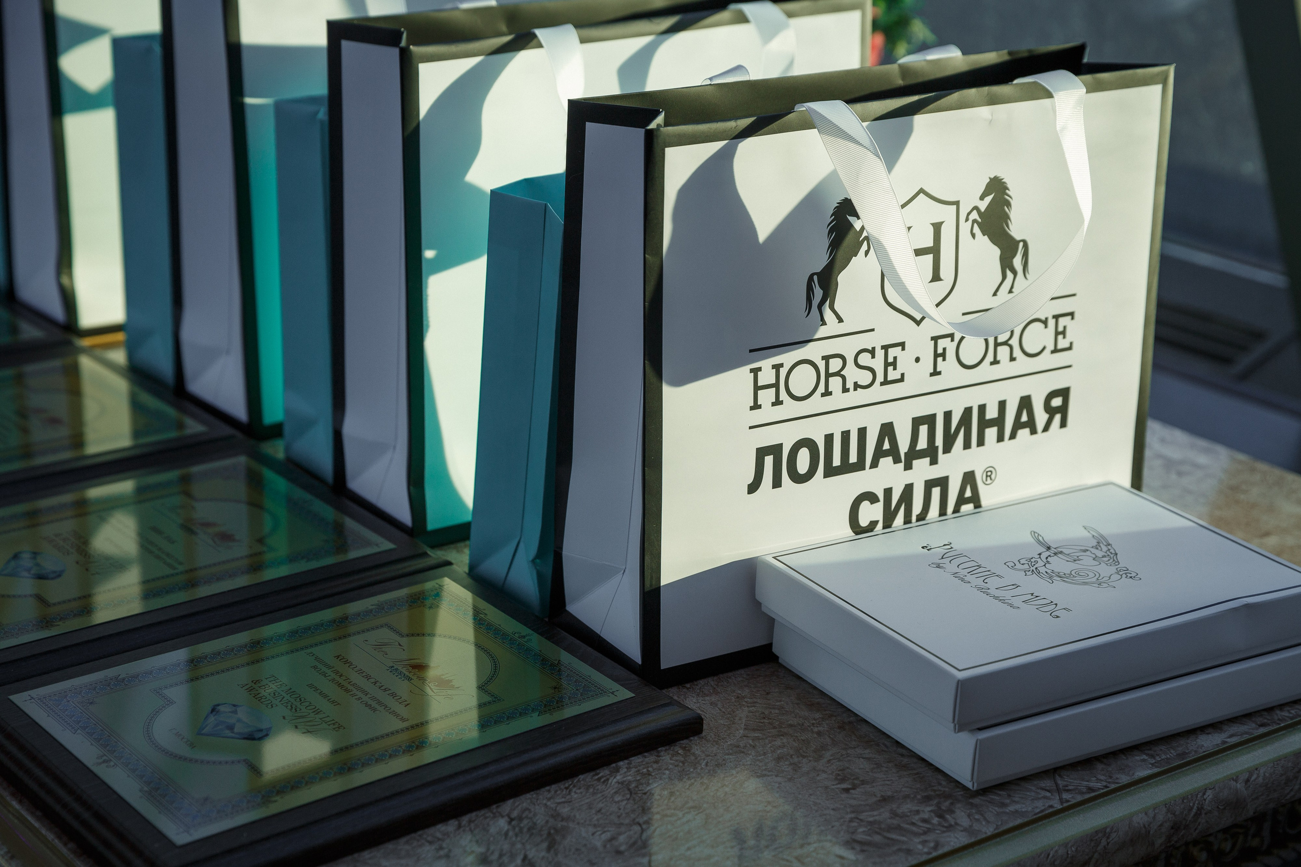 Премия The Moscow Life&Business Awards 2024. Репортажный Фотограф Александр Назаров. Москва и М.О