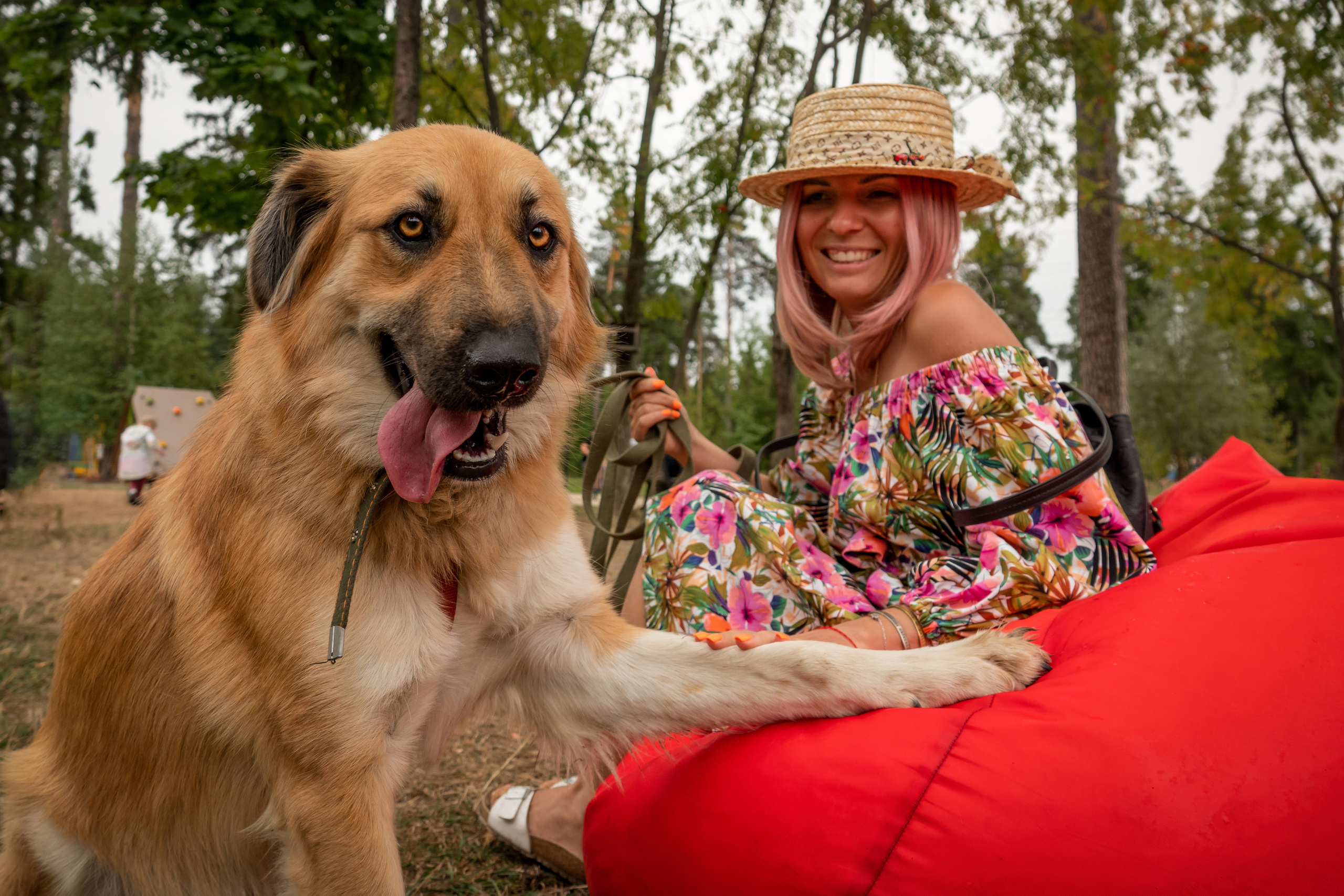 Собака на красном пуфе с девушкой смотрит в камеру