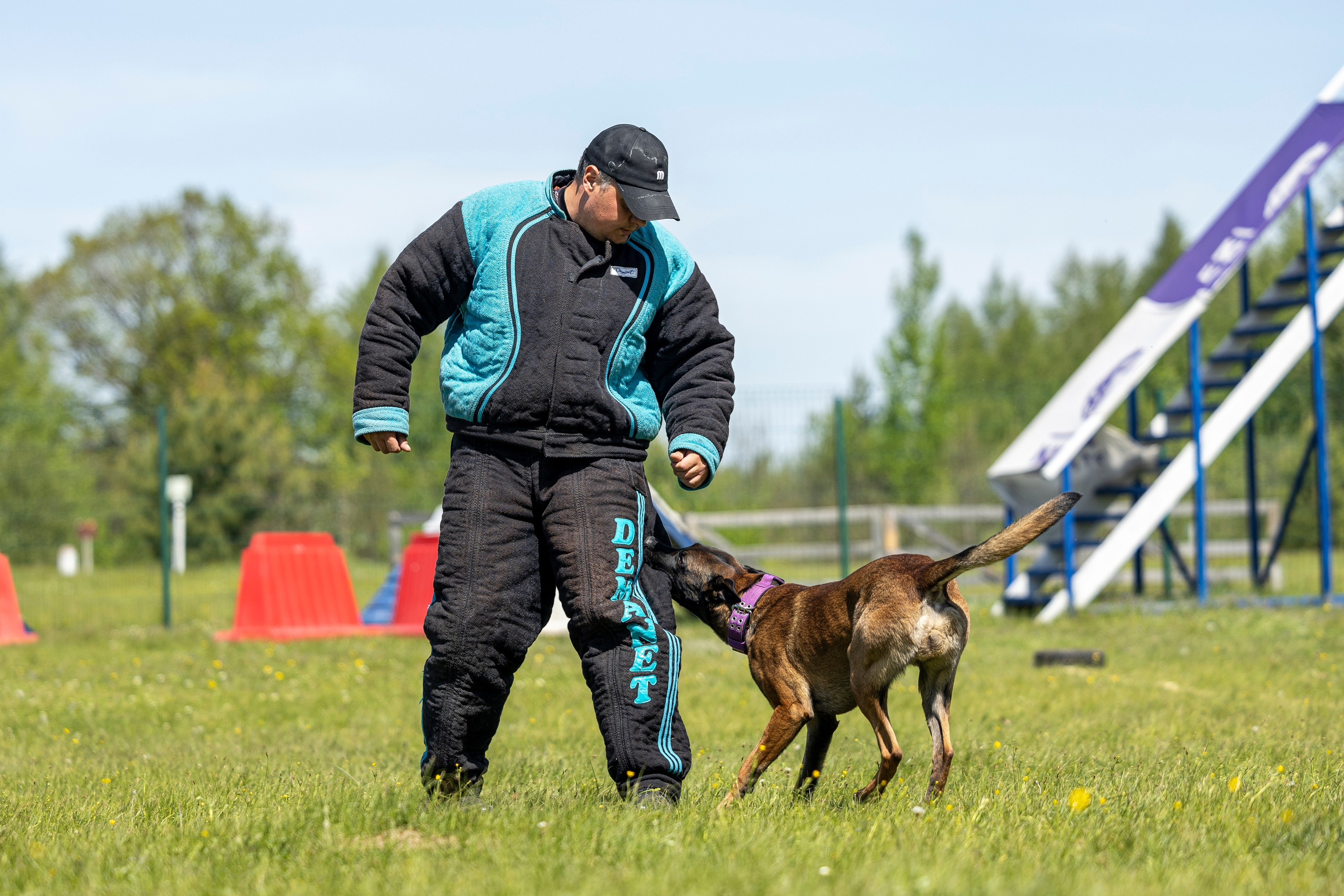 Испытания по мондьорингу в Нижнем Новгороде. Фотограф-анималист Анна Маринич