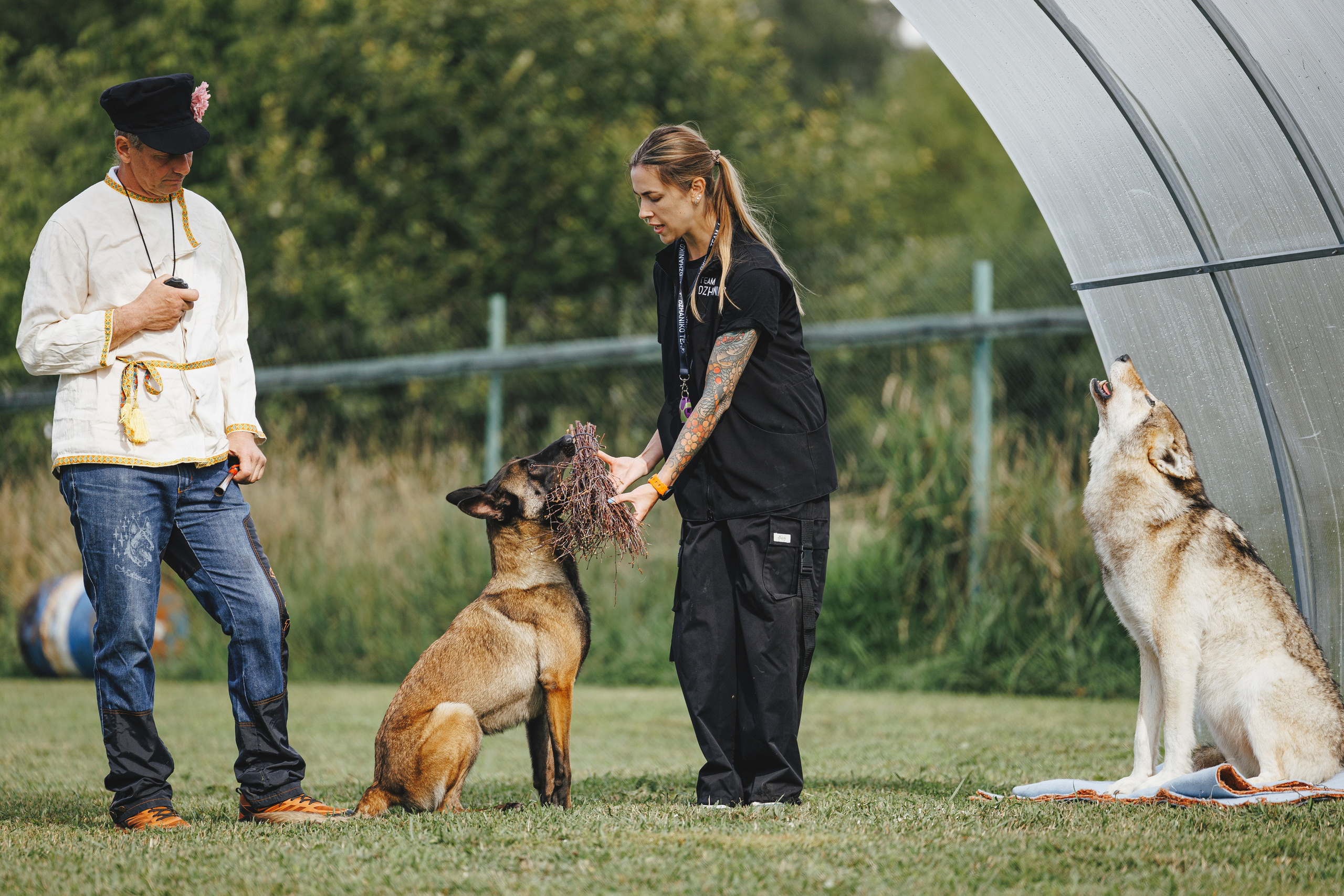 08.08.25-10.08.25 ЧР по мондьорингу г. Вологда. Фотограф-анималист Анна Маринич