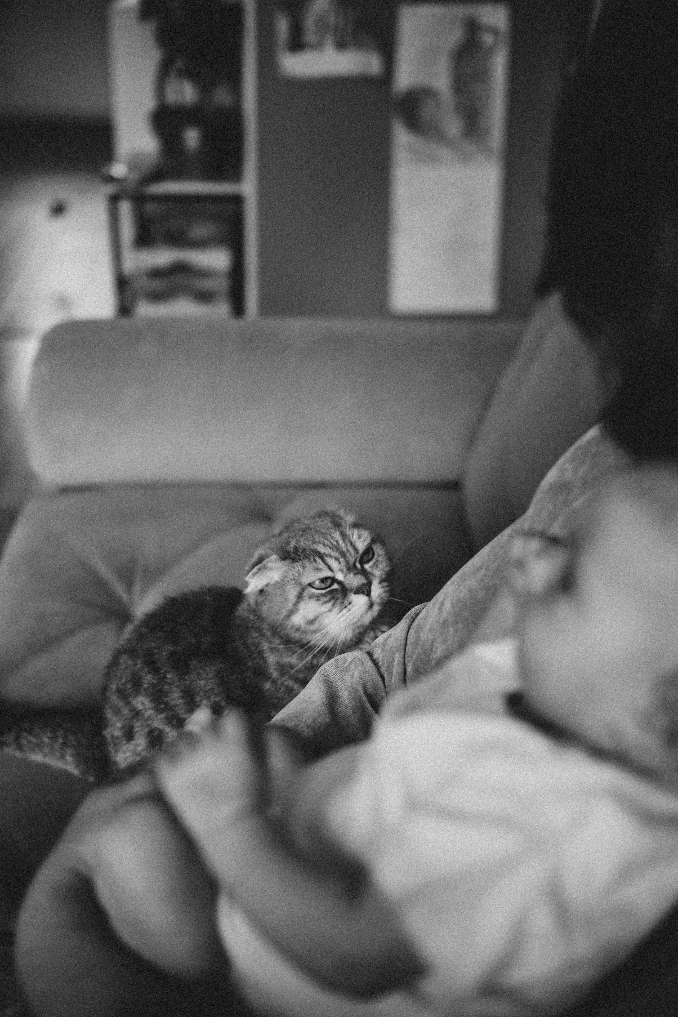 Ефросинья родилась. Семейный фотограф Москва и Домодедово Ольга Игнатова