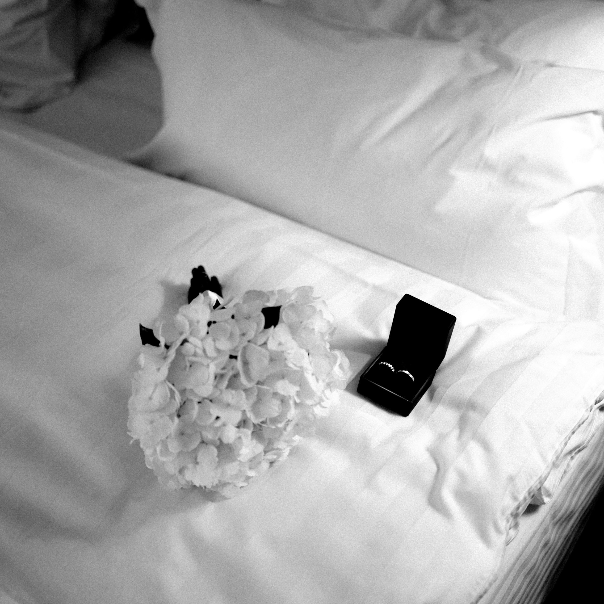 Алина & Влад. Фотограф Донецк. Горловка. ДНР. Севастополь