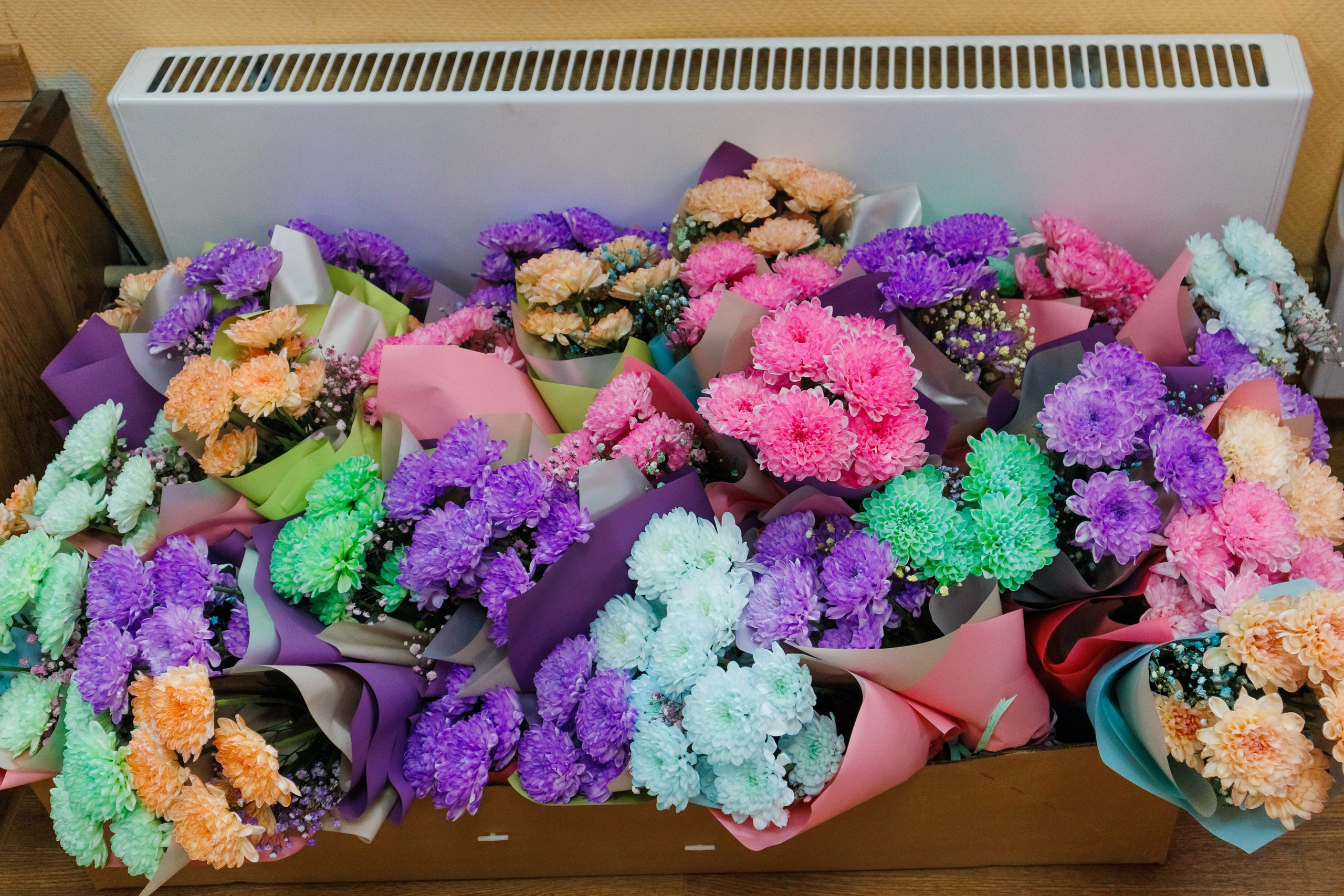 Выпускной в Музе. Фотограф в Новосибирске Евгений Маслов