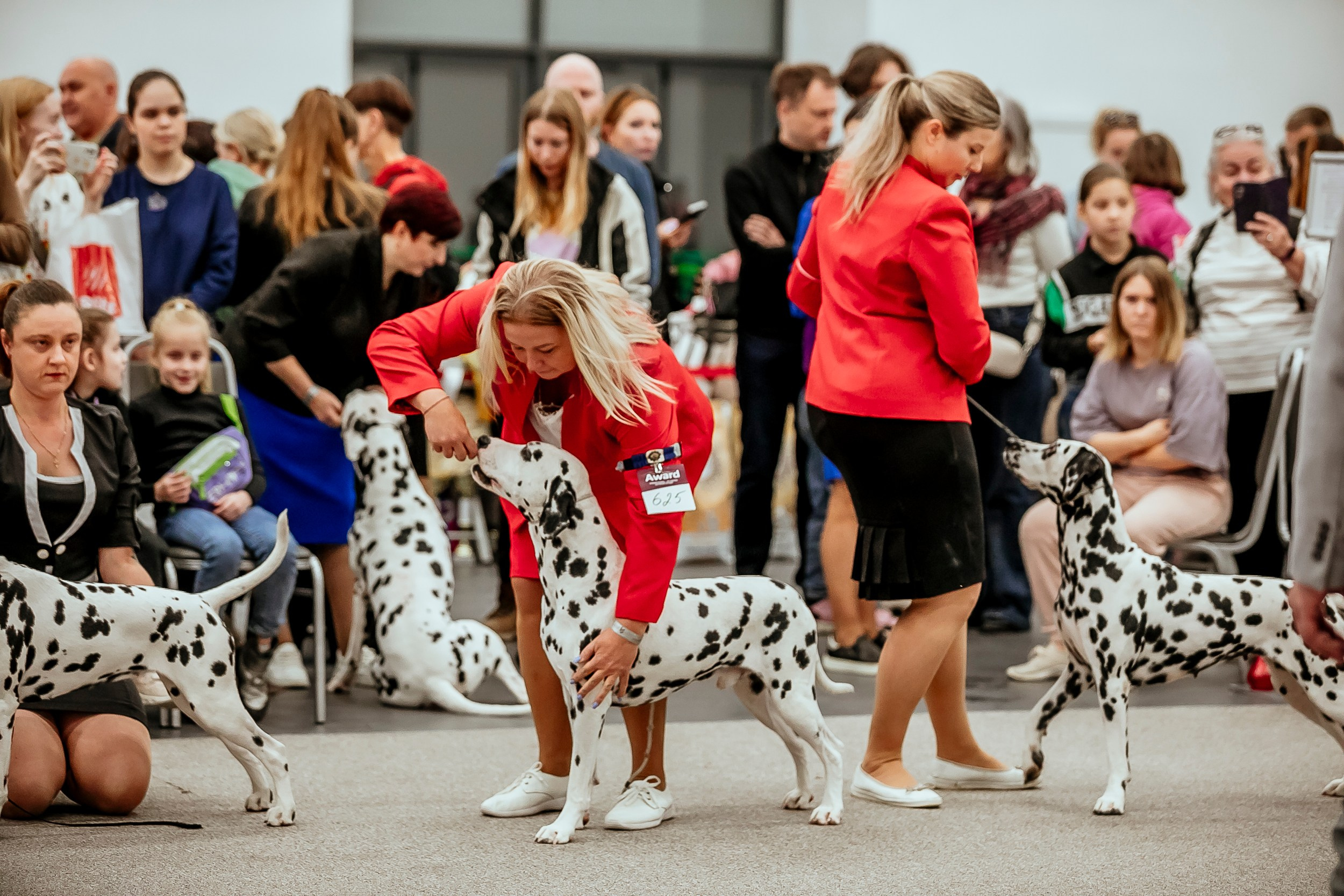 Авторские пресеты для обработки фото. Фотограф — видеограф Алиса Дружинина