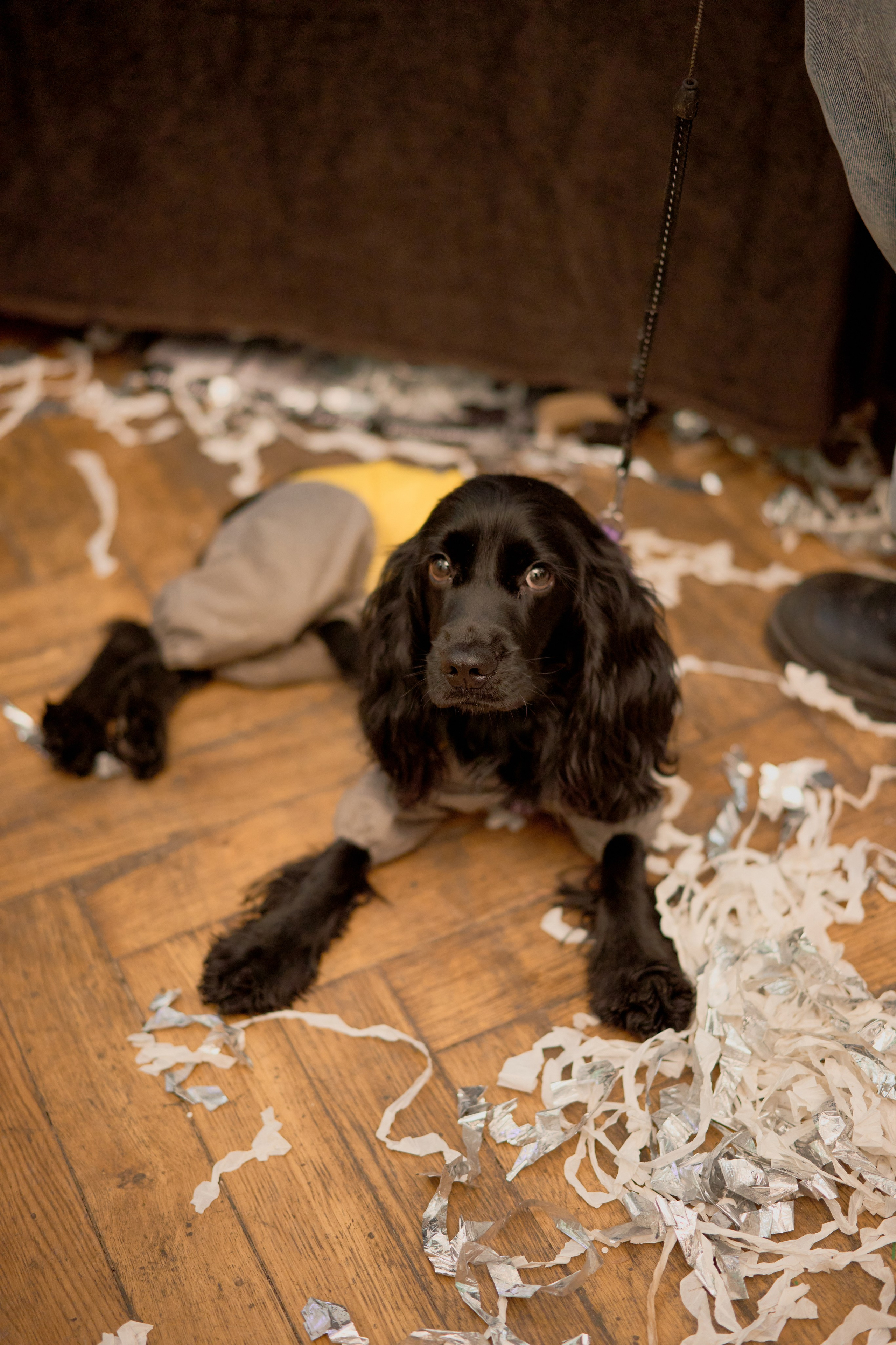 CONCEPTICA МАРКЕТ. Чумаков Алексей Фотограф|Видеограф свадебные, индивидуальные, семейные, репортаж
