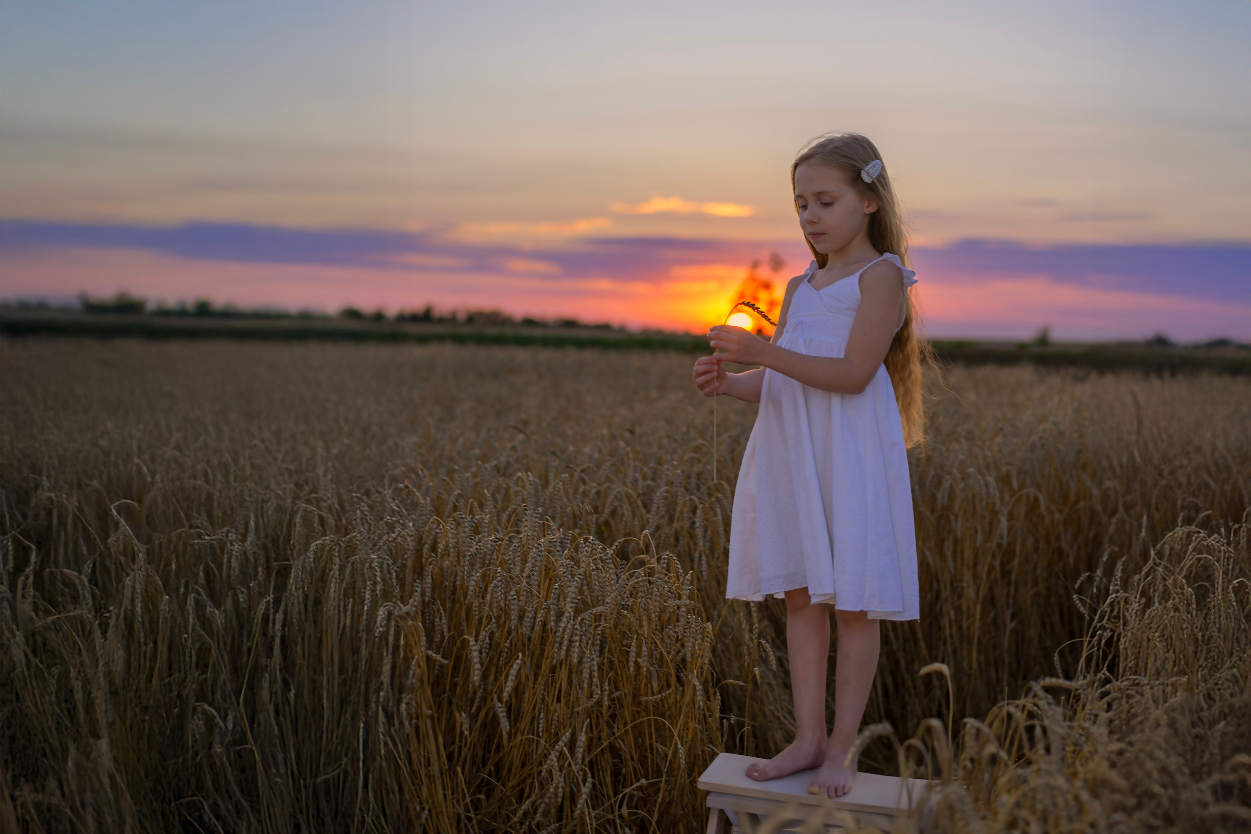 Пшеница. Главная