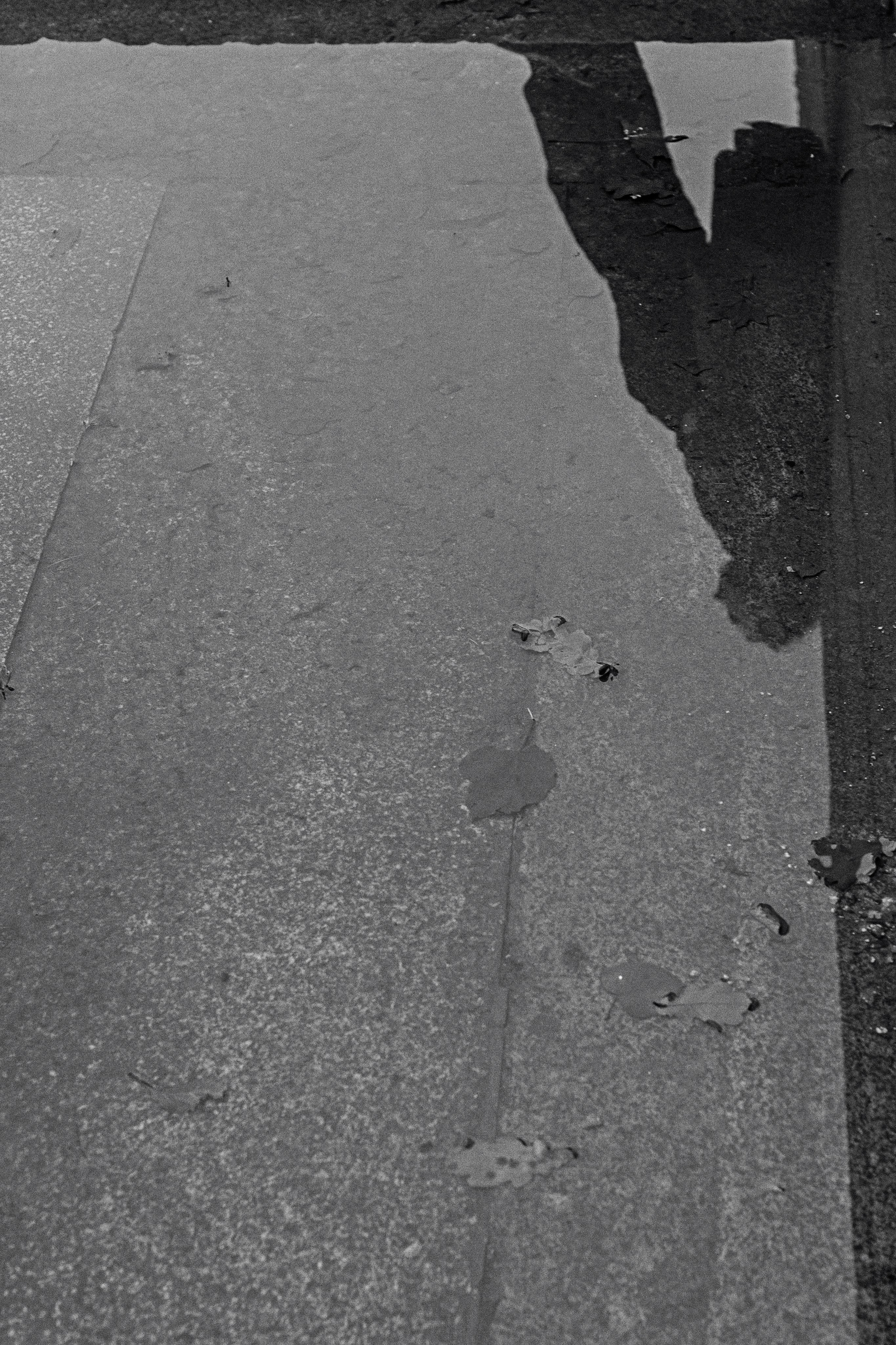 Илья. Сергей Виноградов фотограф Россия Санкт-Петербург