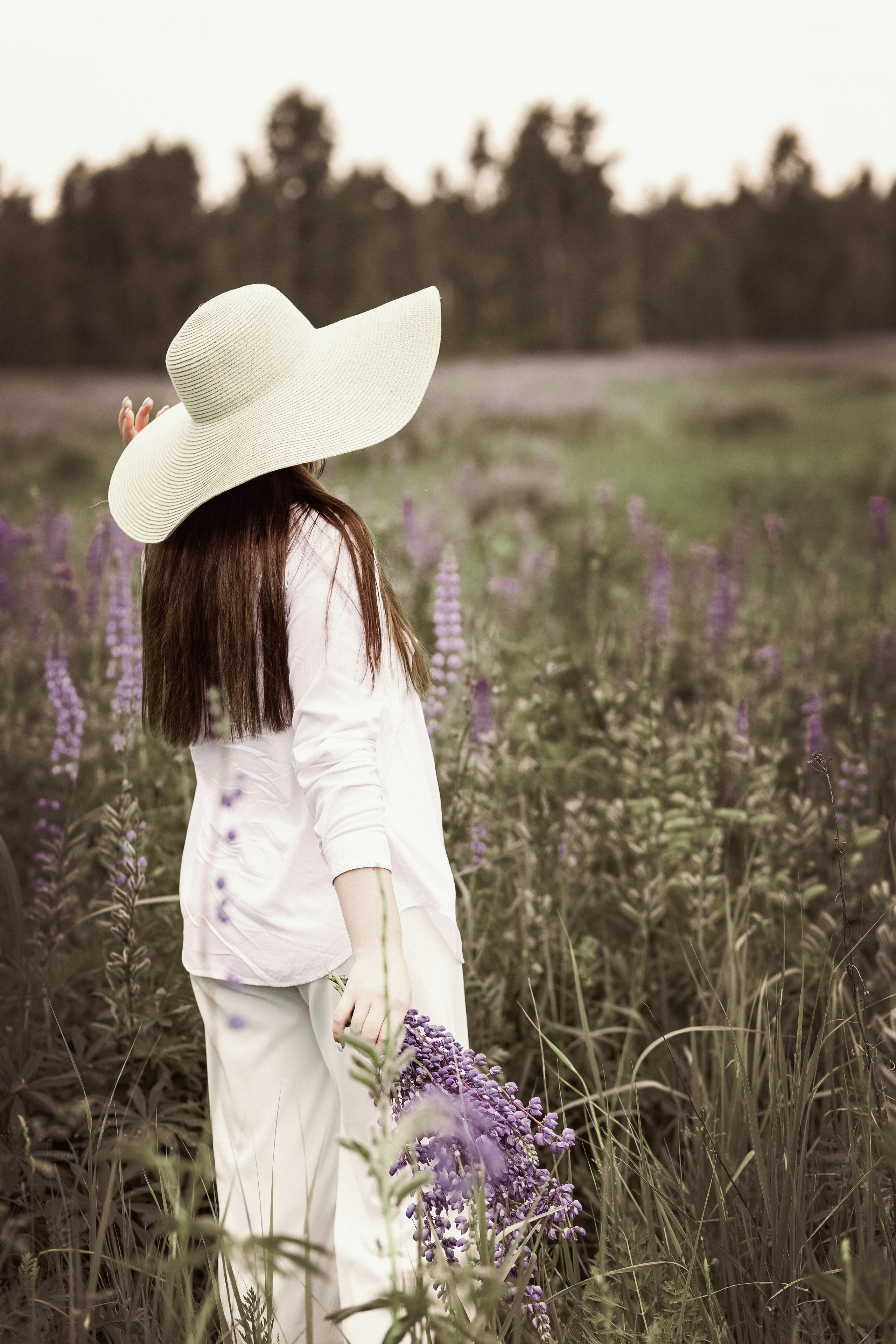 Люпины 2024. Свадебный и семейный фотограф в Рязани Анастасия