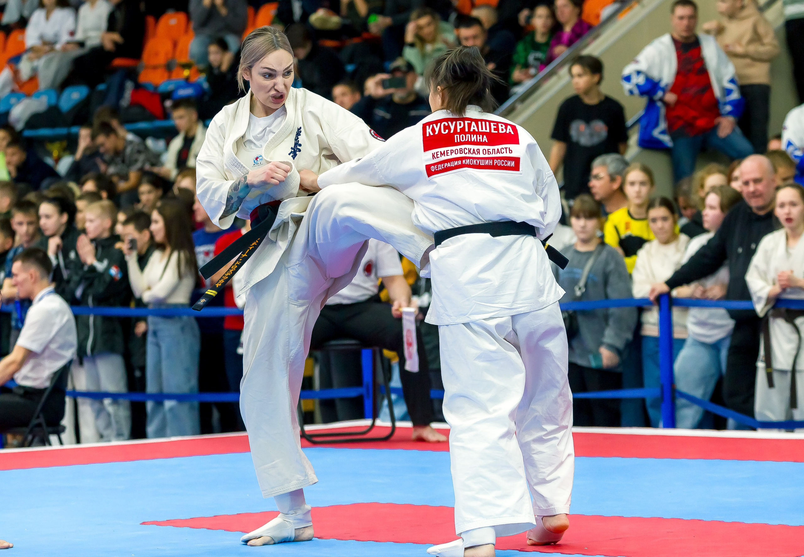 Соревнования по Киокушин памяти С. Увицкого. Репортажная съемка в Москве и области. Анималистика