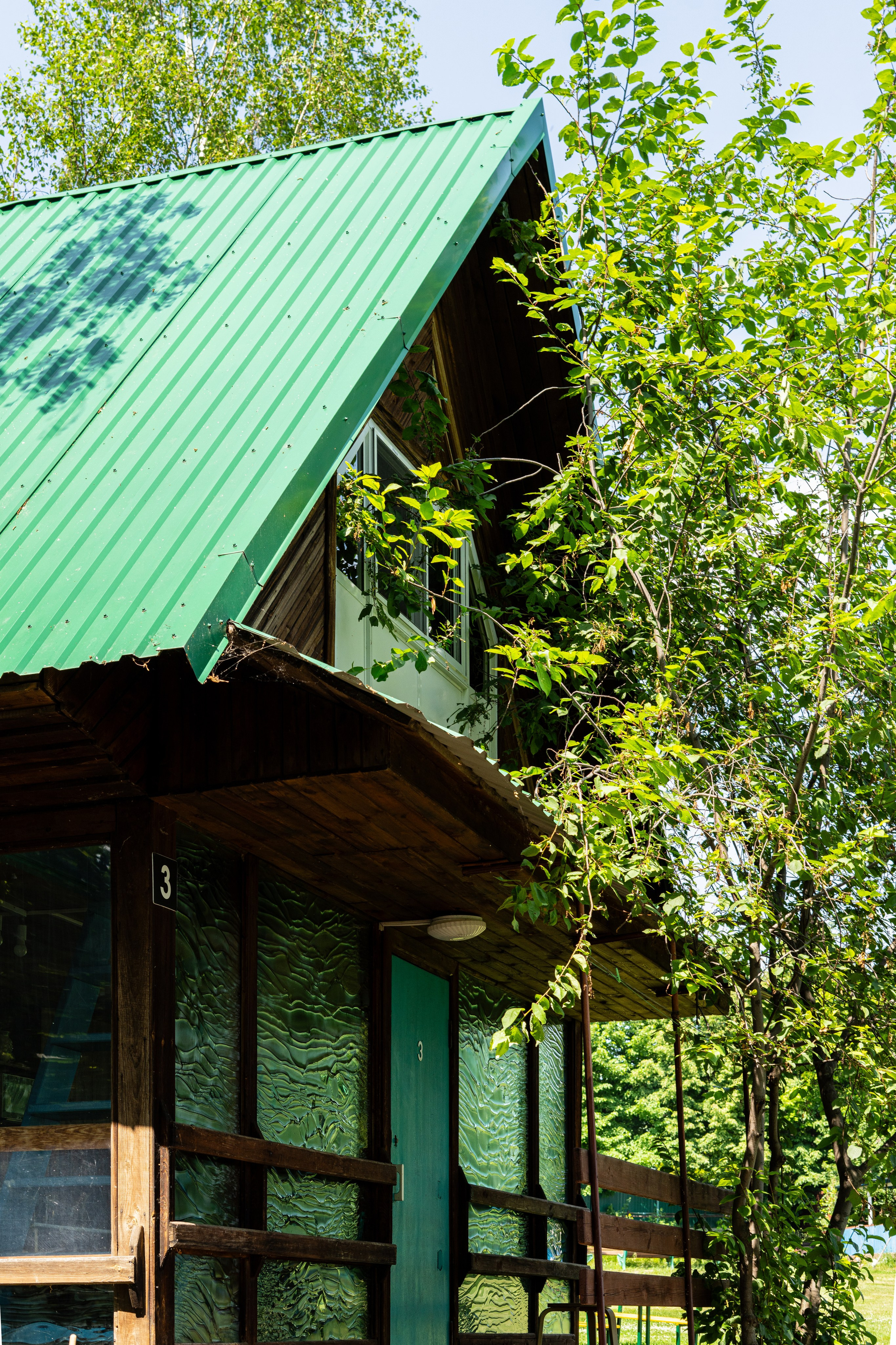 Полянка. Анастасия Паршукова — фотограф Шерегеш Новосибирск