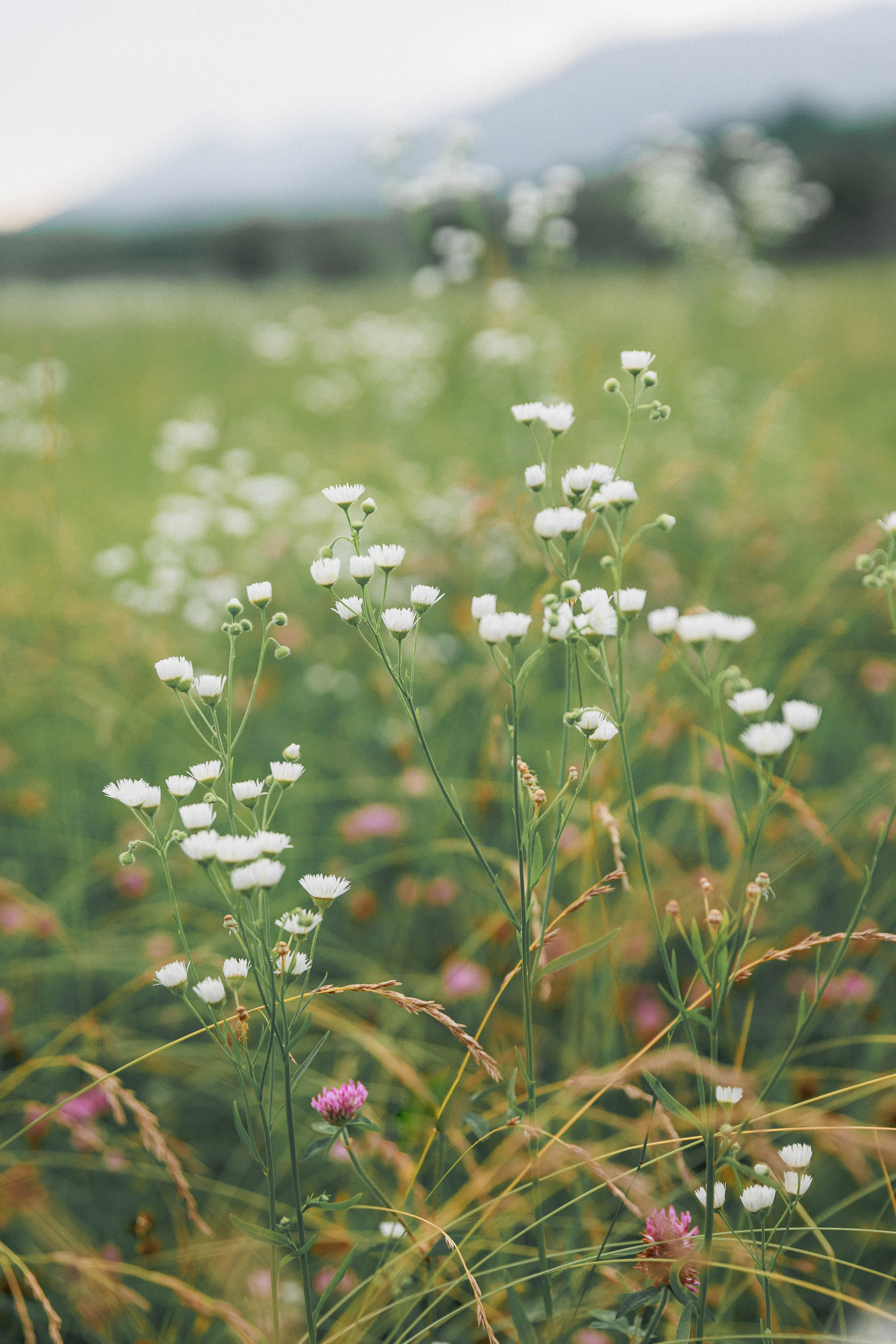 В ожидании. Свадебный, семейный и детский фотограф в городе Партизанск, Находка