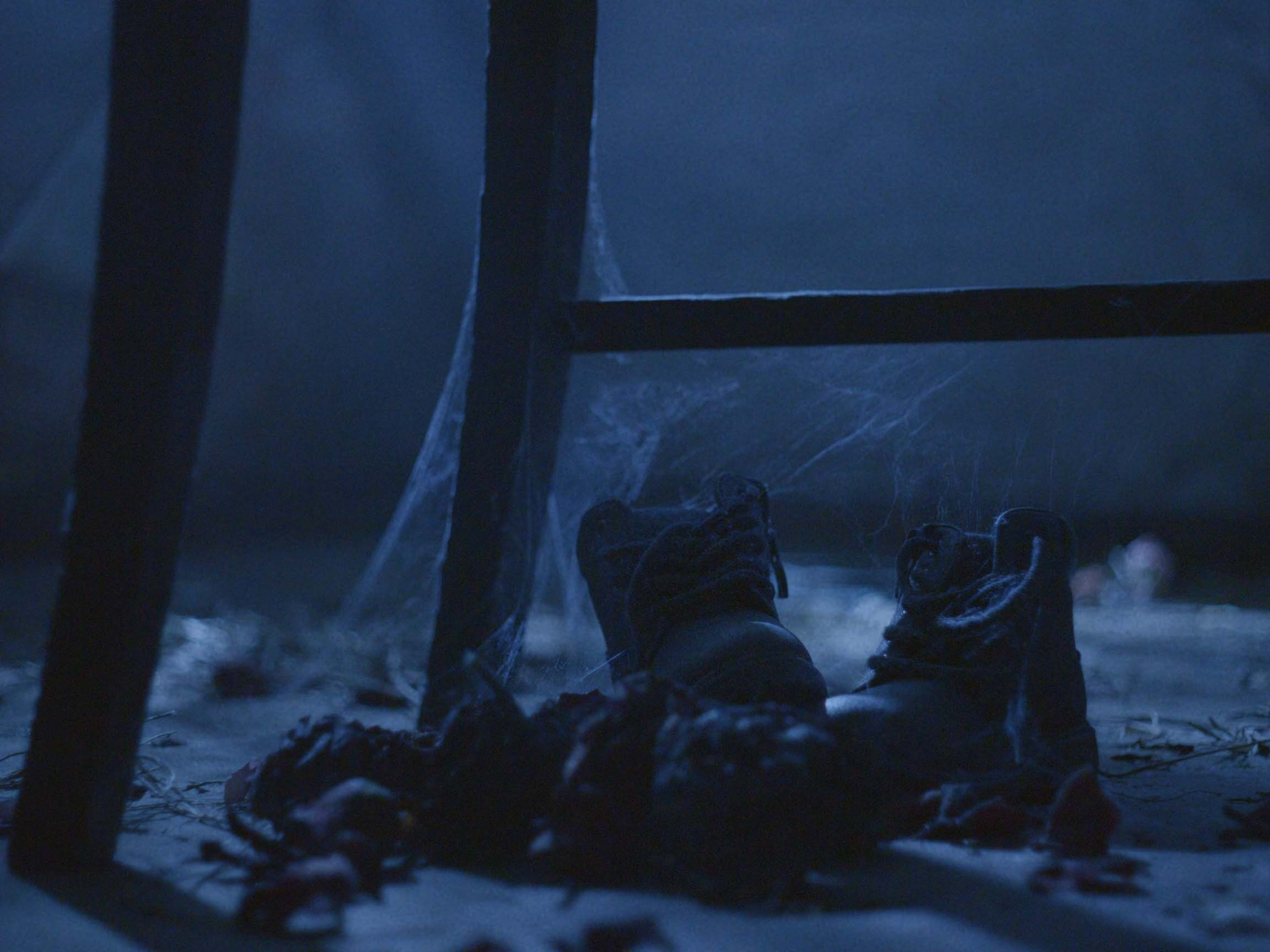 Розы Анны. Цветокоррекция видео