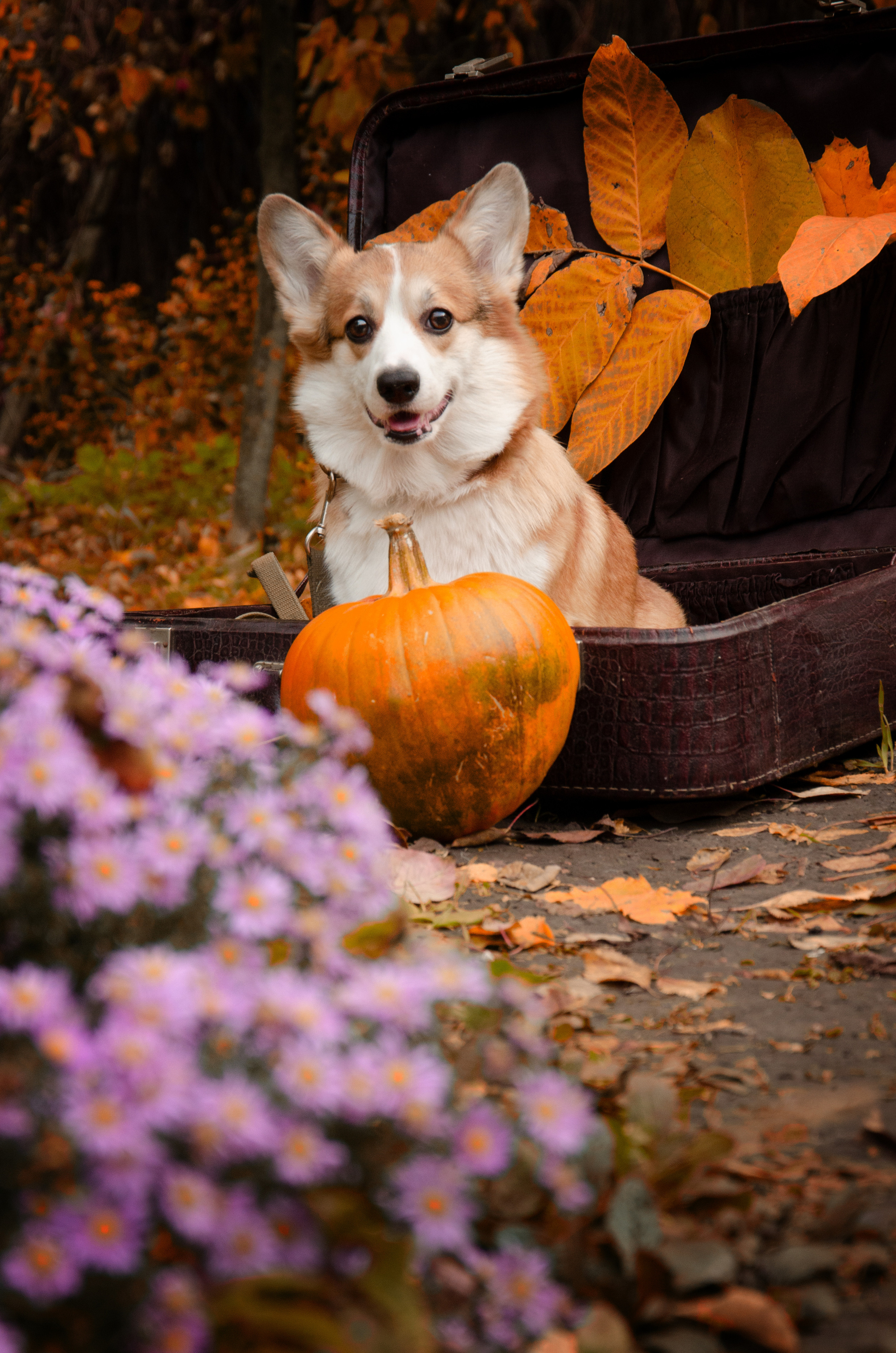 M&M. Фотограф в Ростове-на-дону Анна Рыкова